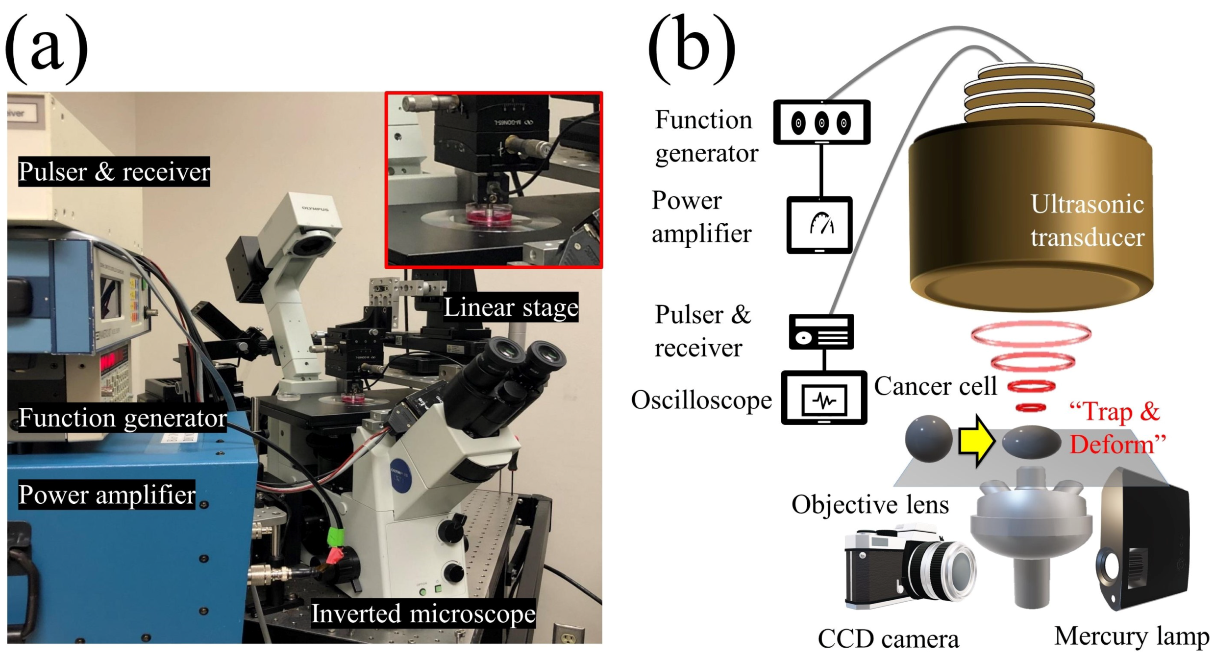 Cancers 12 01212 g001 Cancers 12 01212 g001