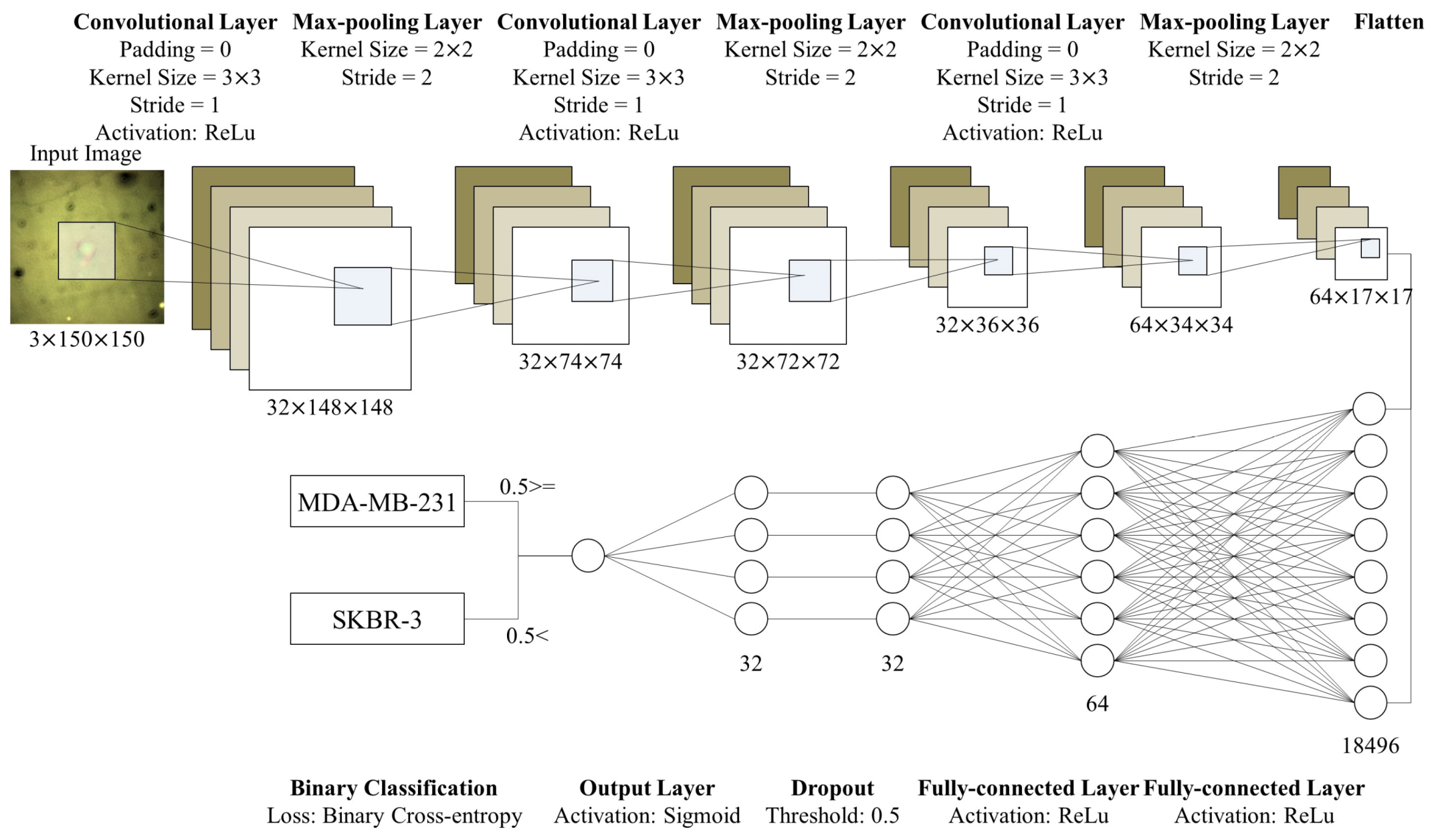 Cancers 12 01212 g007 Cancers 12 01212 g007