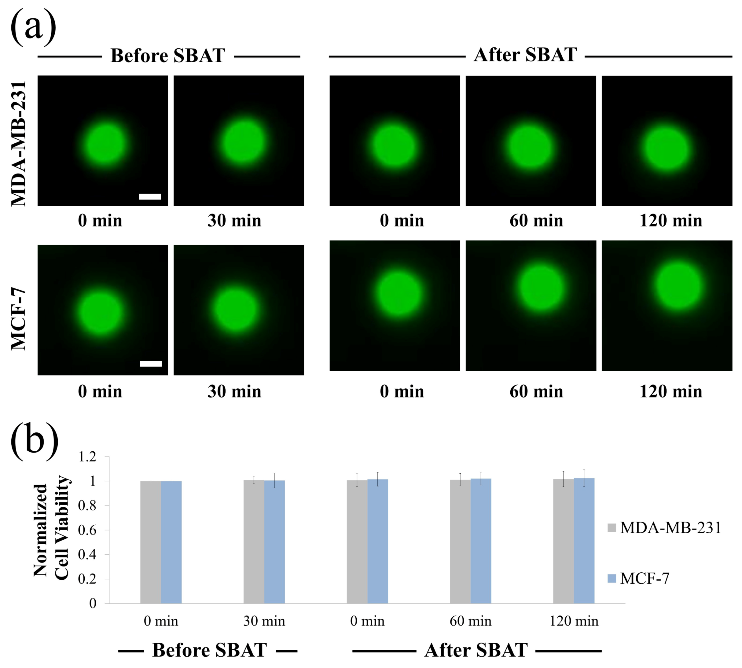 Cancers 12 01212 g010 Cancers 12 01212 g010
