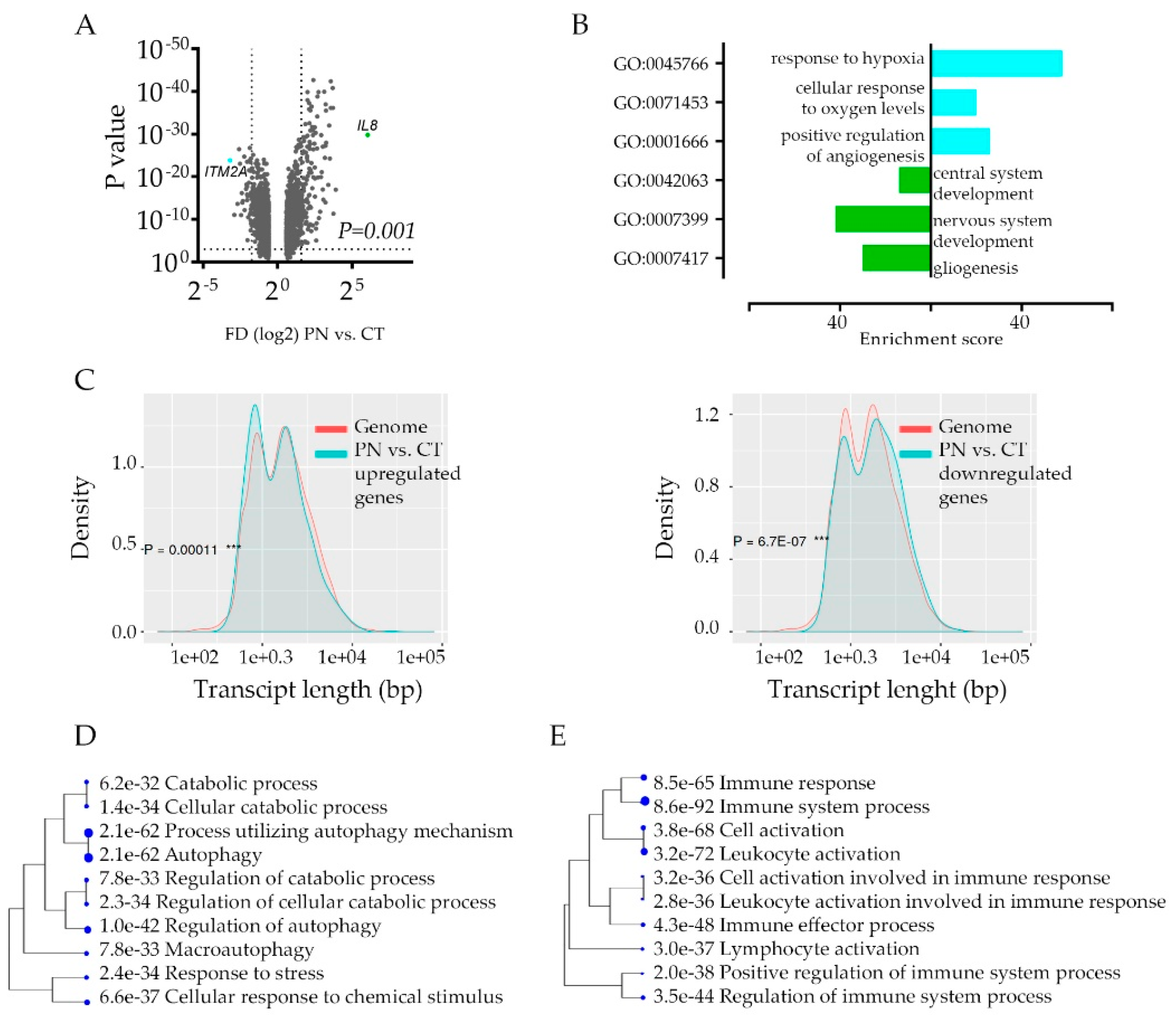 Cancers 12 01213 g002 Cancers 12 01213 g002