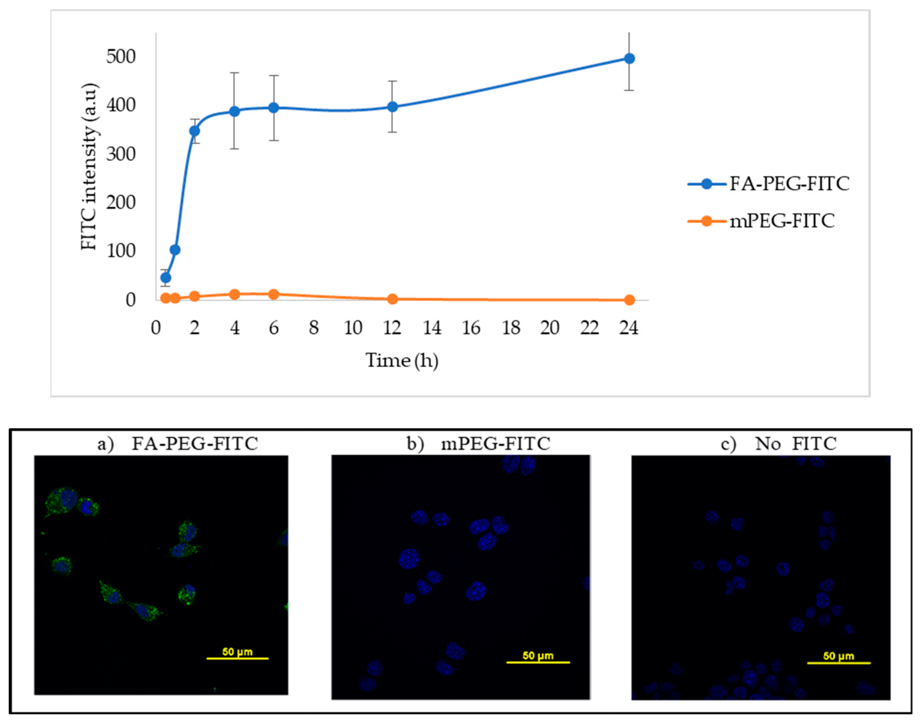Cancers 12 01215 g001 Cancers 12 01215 g001