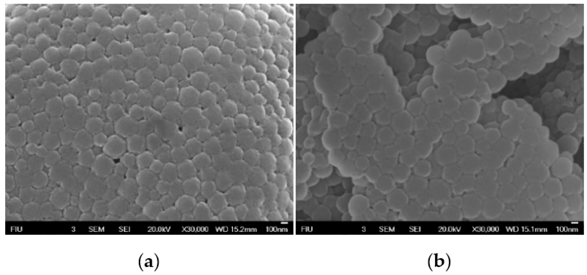 Cancers 12 01215 g006 Cancers 12 01215 g006