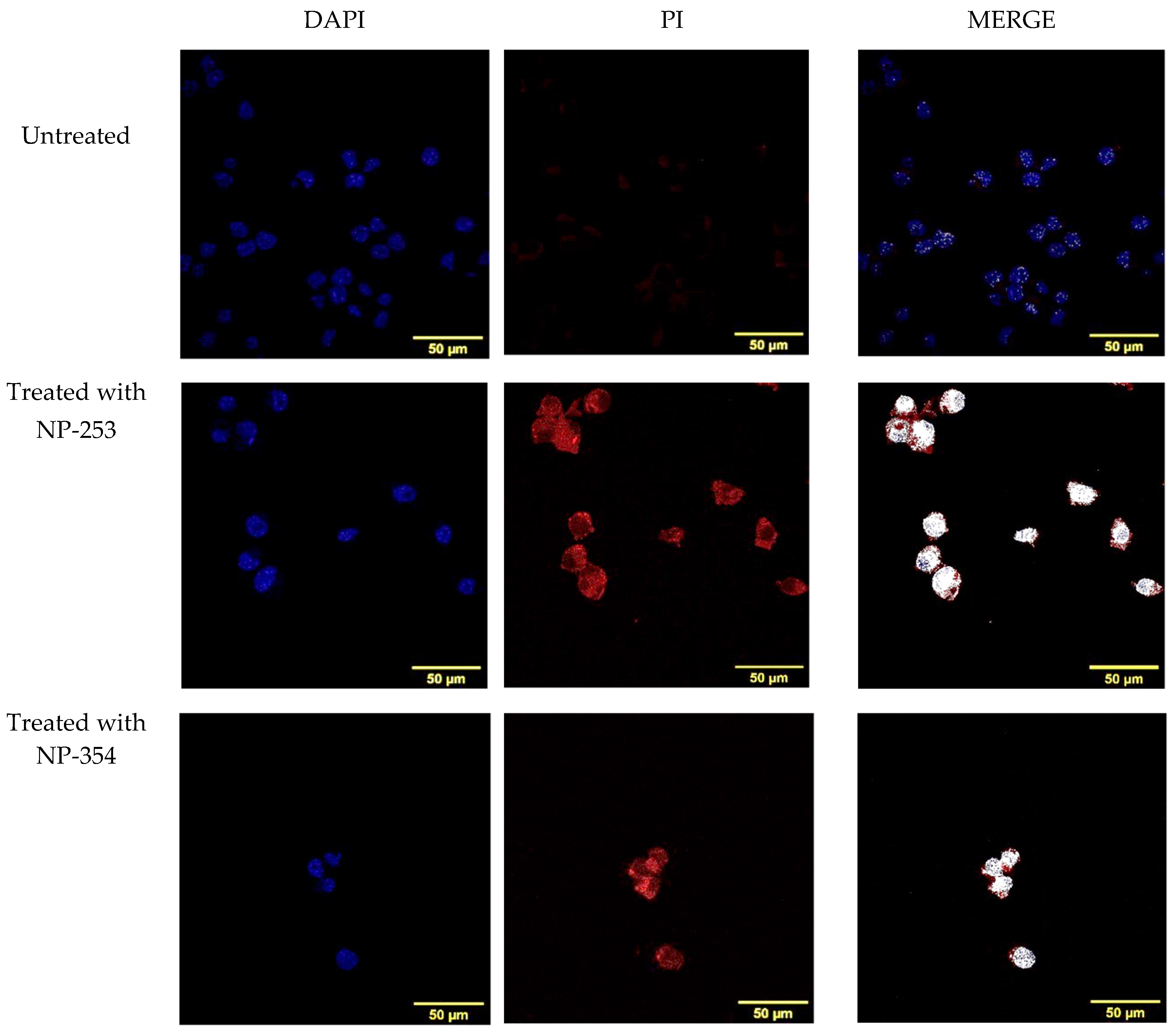 Cancers 12 01215 g010 Cancers 12 01215 g010