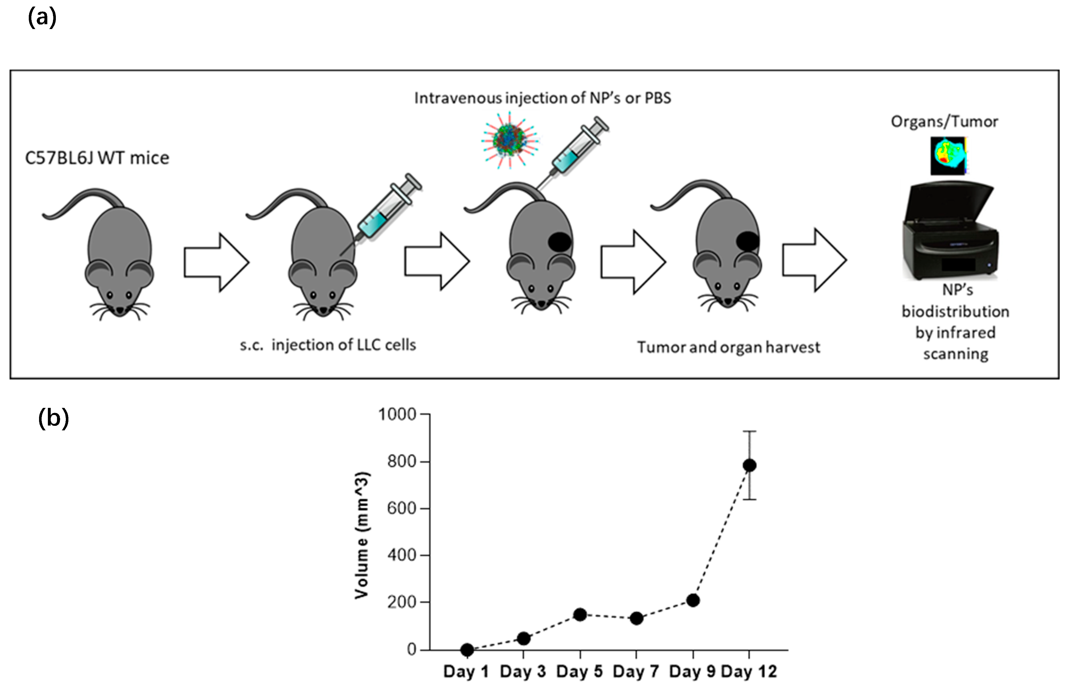 Cancers 12 01215 g012 Cancers 12 01215 g012