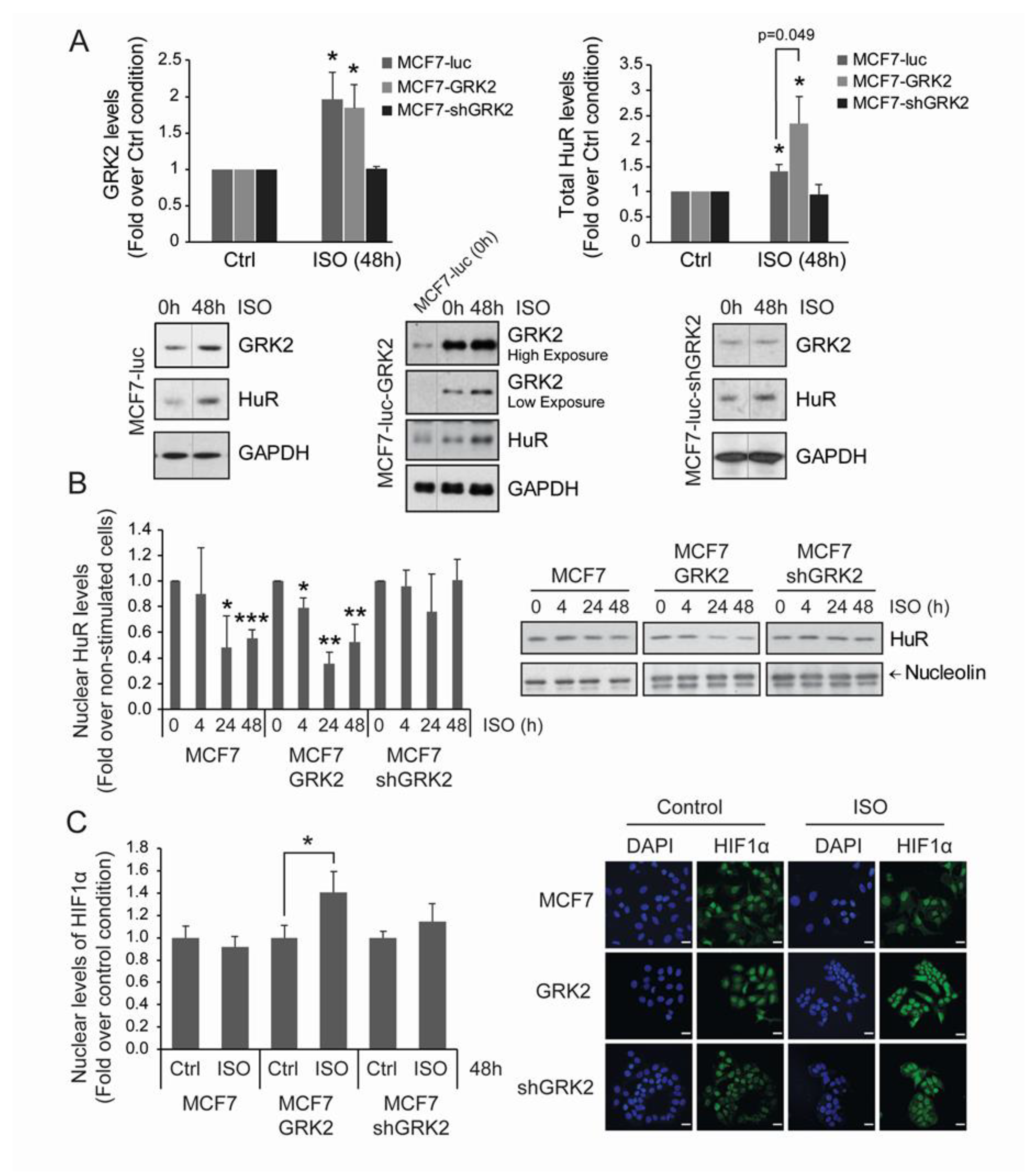 Cancers 12 01216 g006 Cancers 12 01216 g006