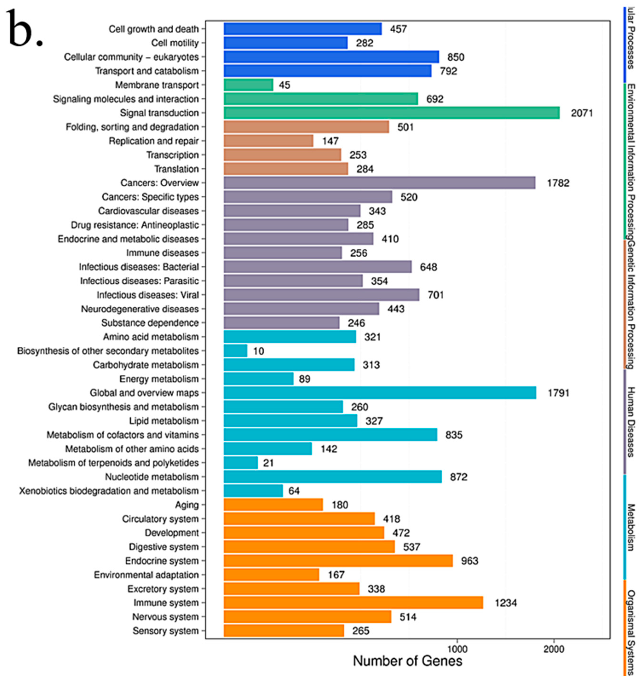 Cancers 12 01236 g007b