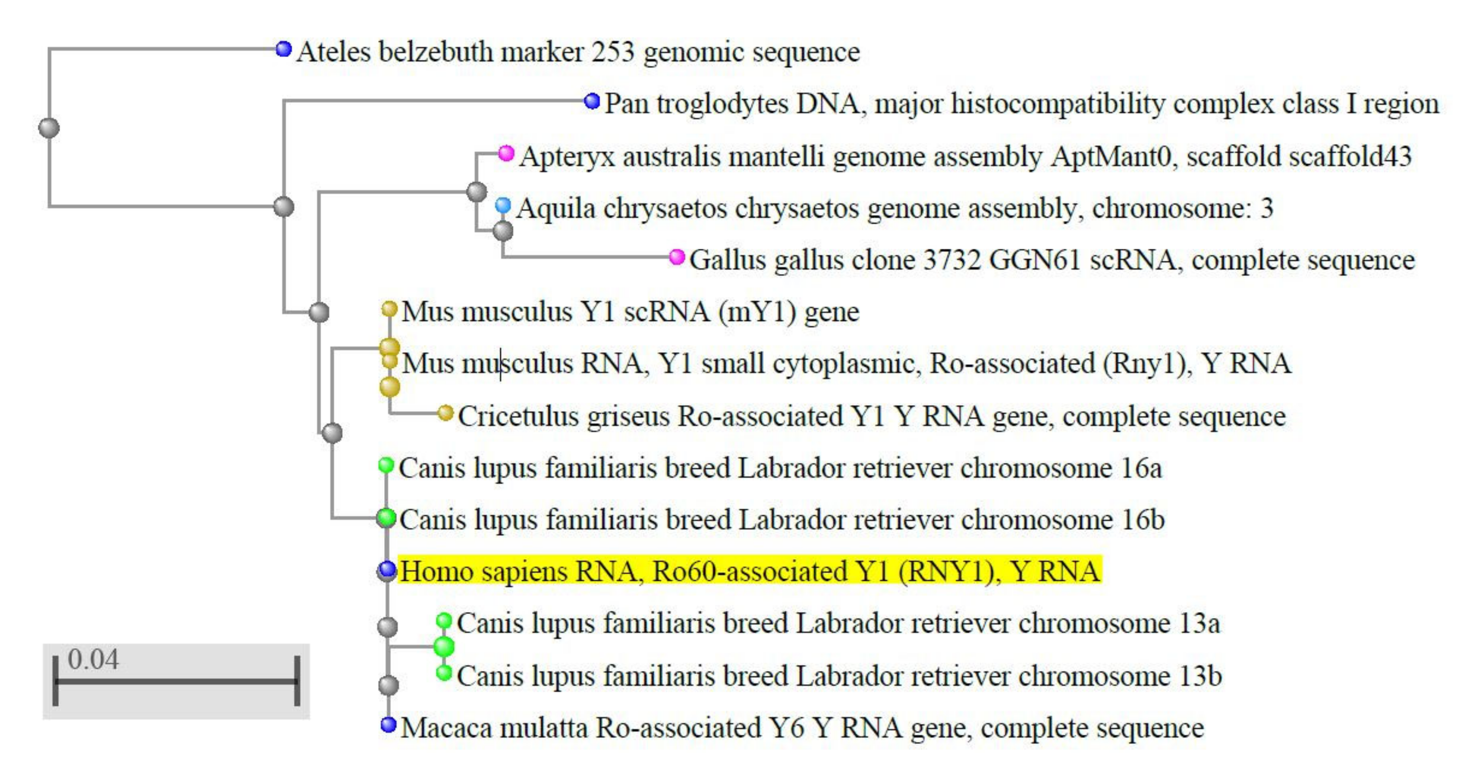 Cancers 12 01238 g001