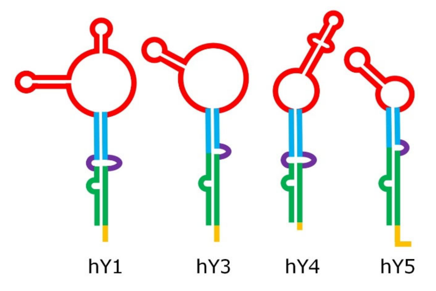 Cancers 12 01238 g002