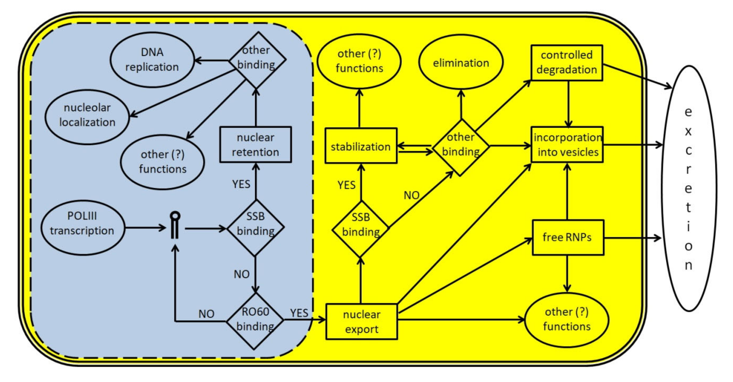 Cancers 12 01238 g003