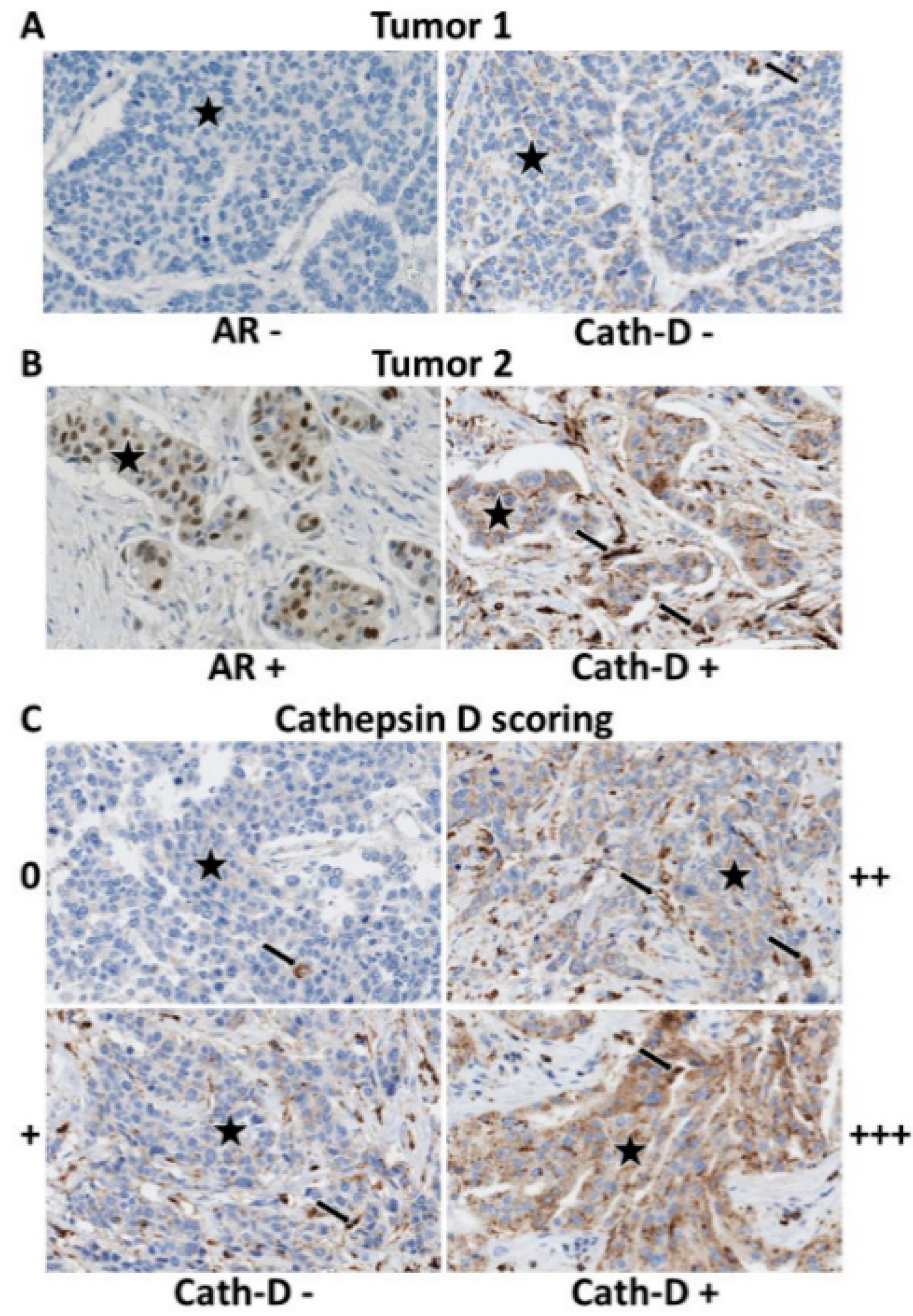 Cancers 12 01244 g001