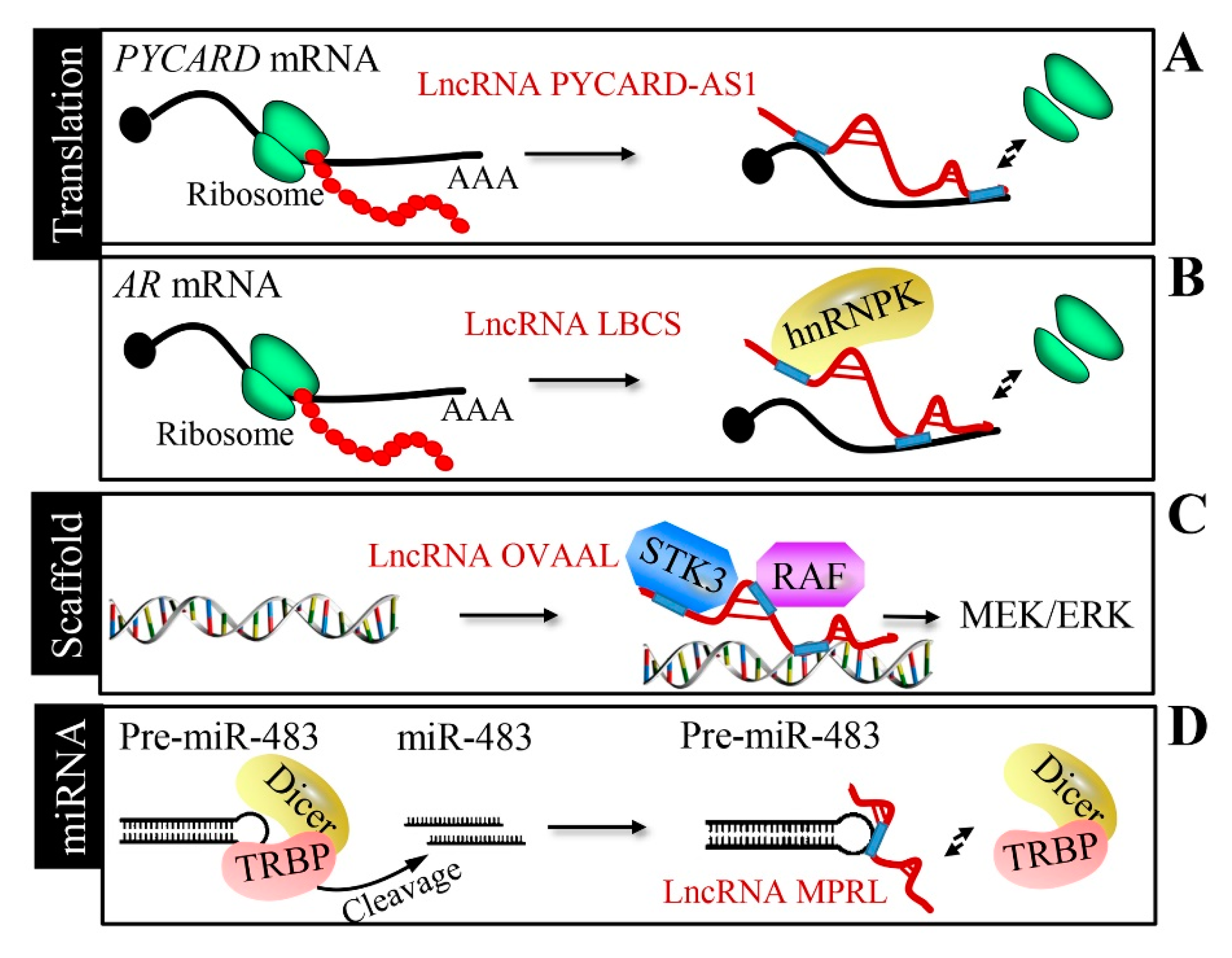 Cancers 12 01245 g005 Cancers 12 01245 g005