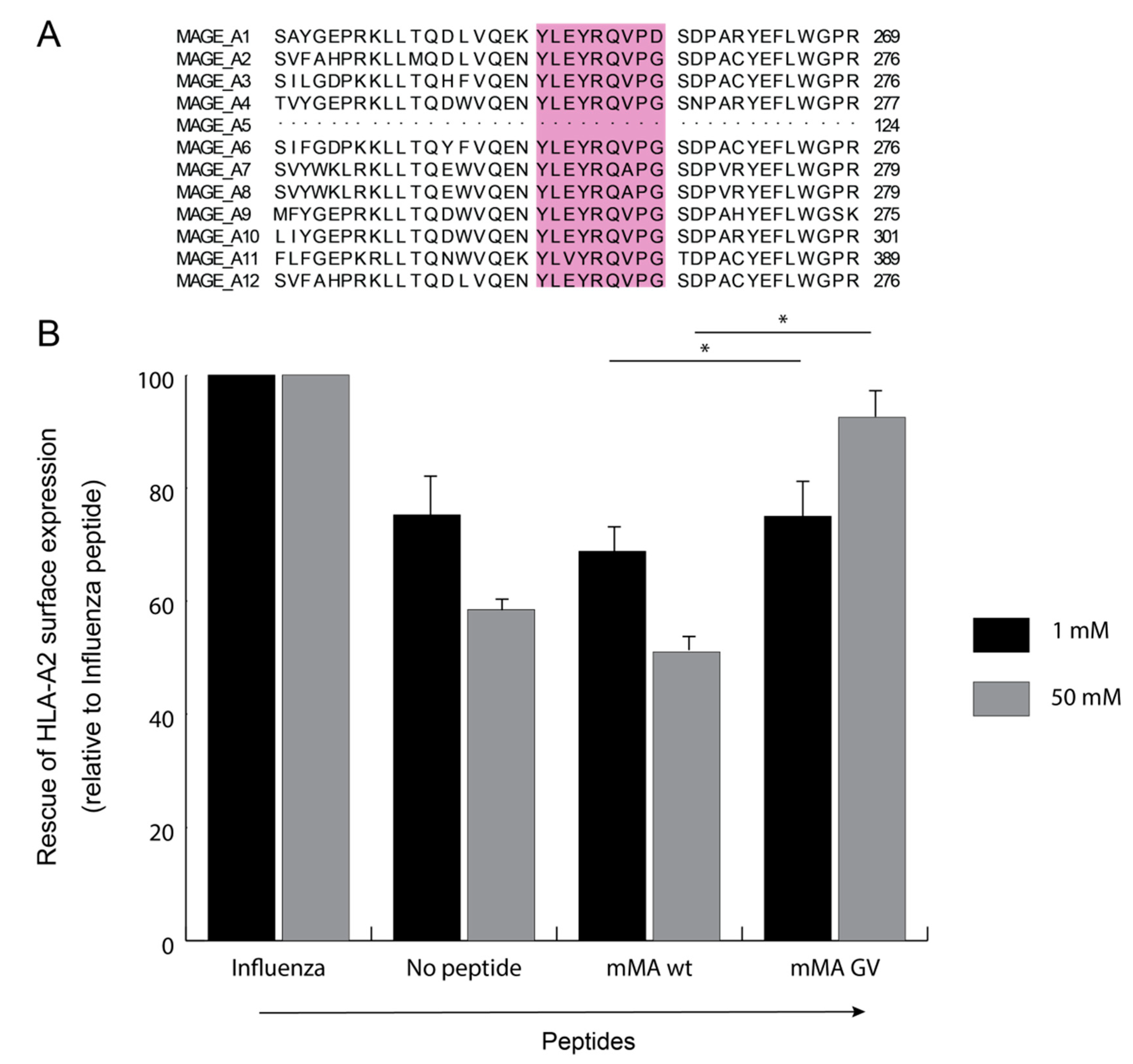 Cancers 12 01255 g001 Cancers 12 01255 g001