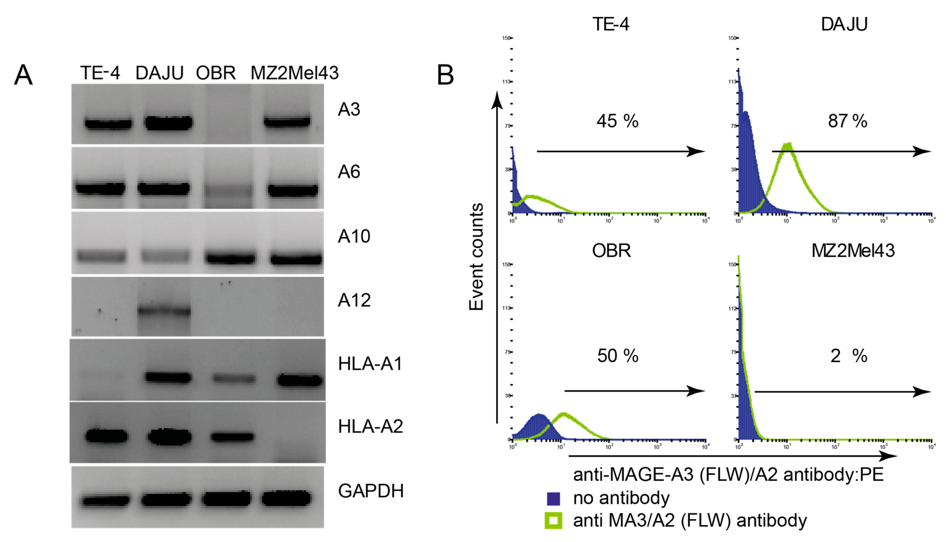 Cancers 12 01255 g003 Cancers 12 01255 g003