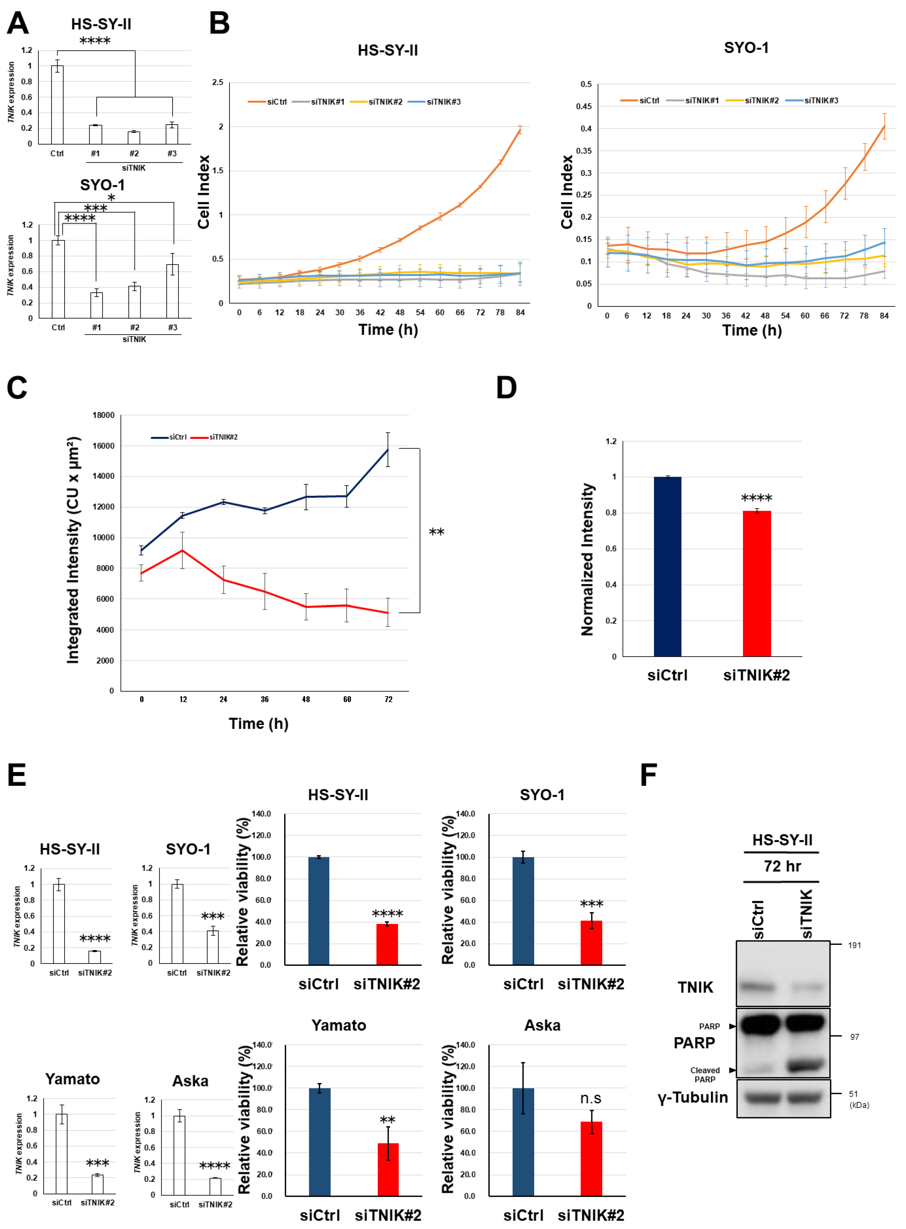 Cancers 12 01258 g002 Cancers 12 01258 g002