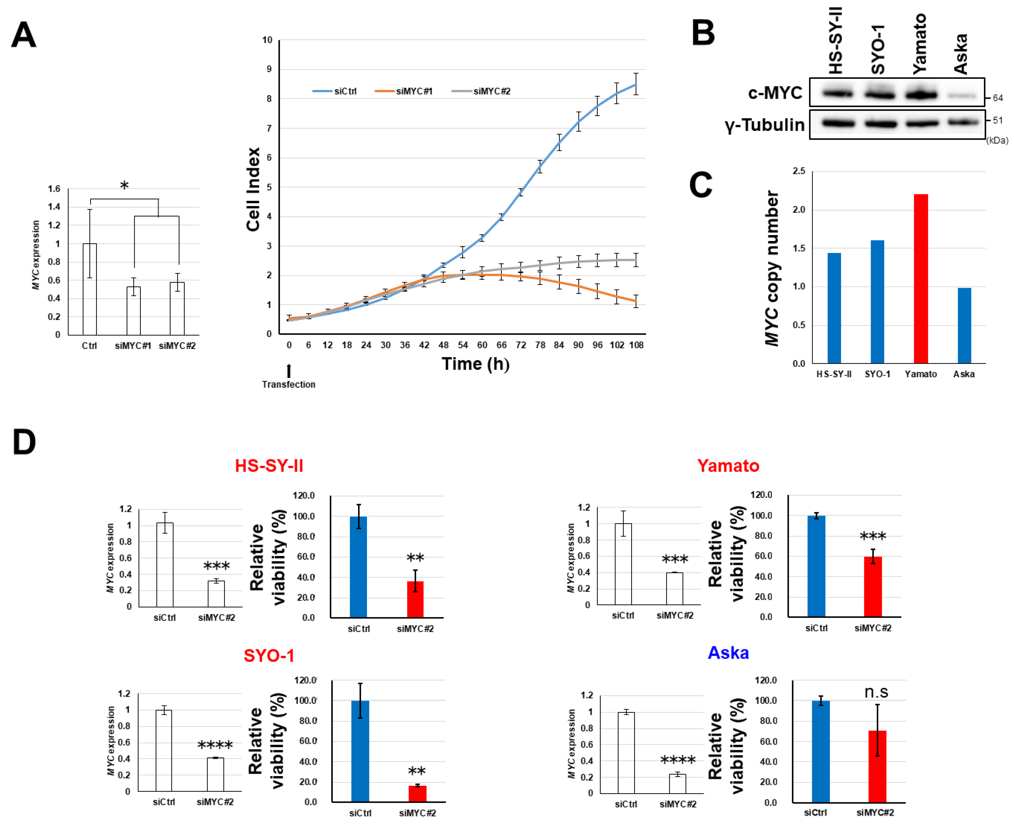 Cancers 12 01258 g006 Cancers 12 01258 g006