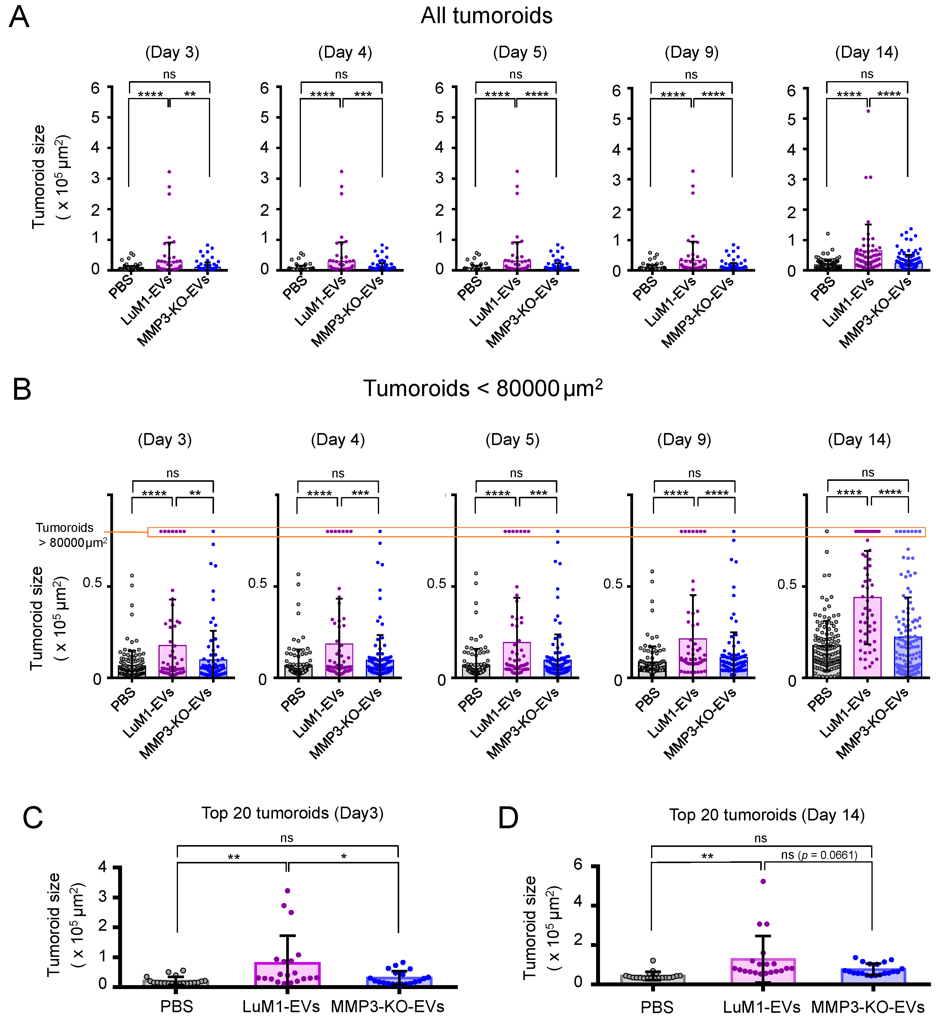 Cancers 12 01260 g006