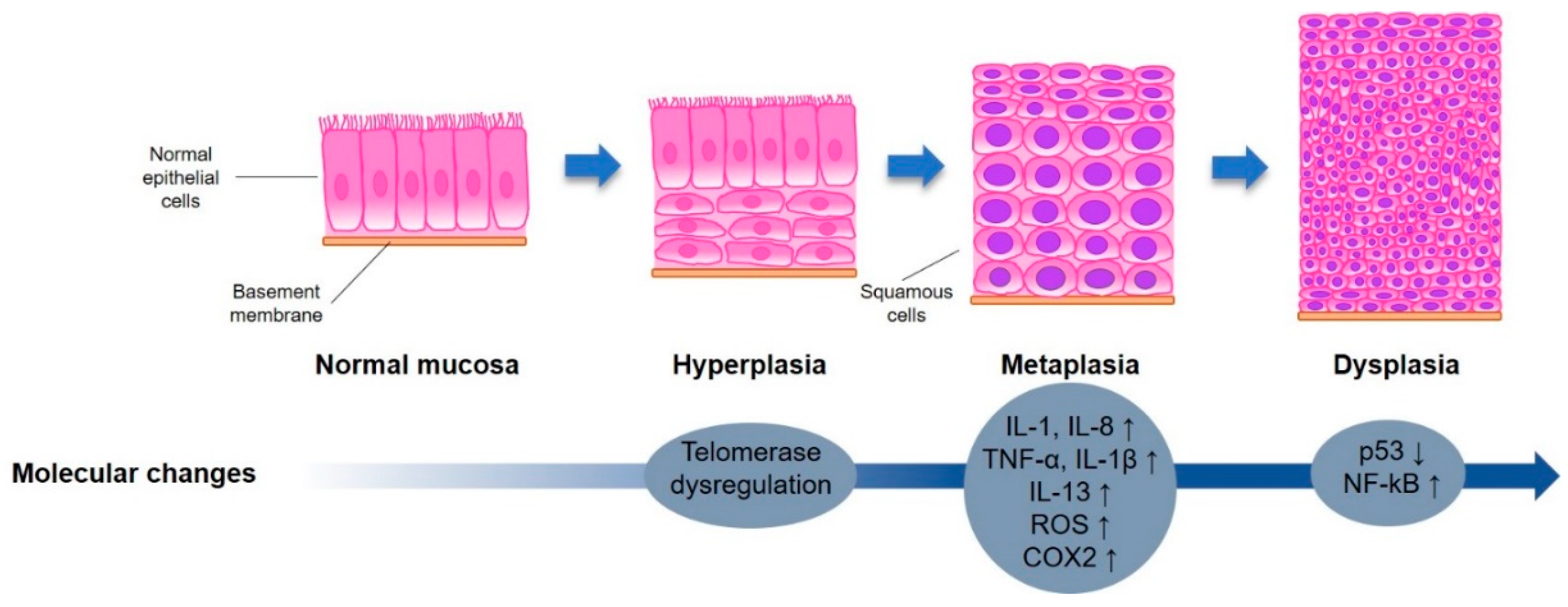 Cancers 12 01265 g001 Cancers 12 01265 g001