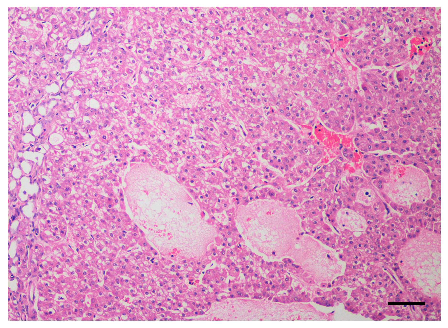 Cancers 12 01272 g003 Cancers 12 01272 g003