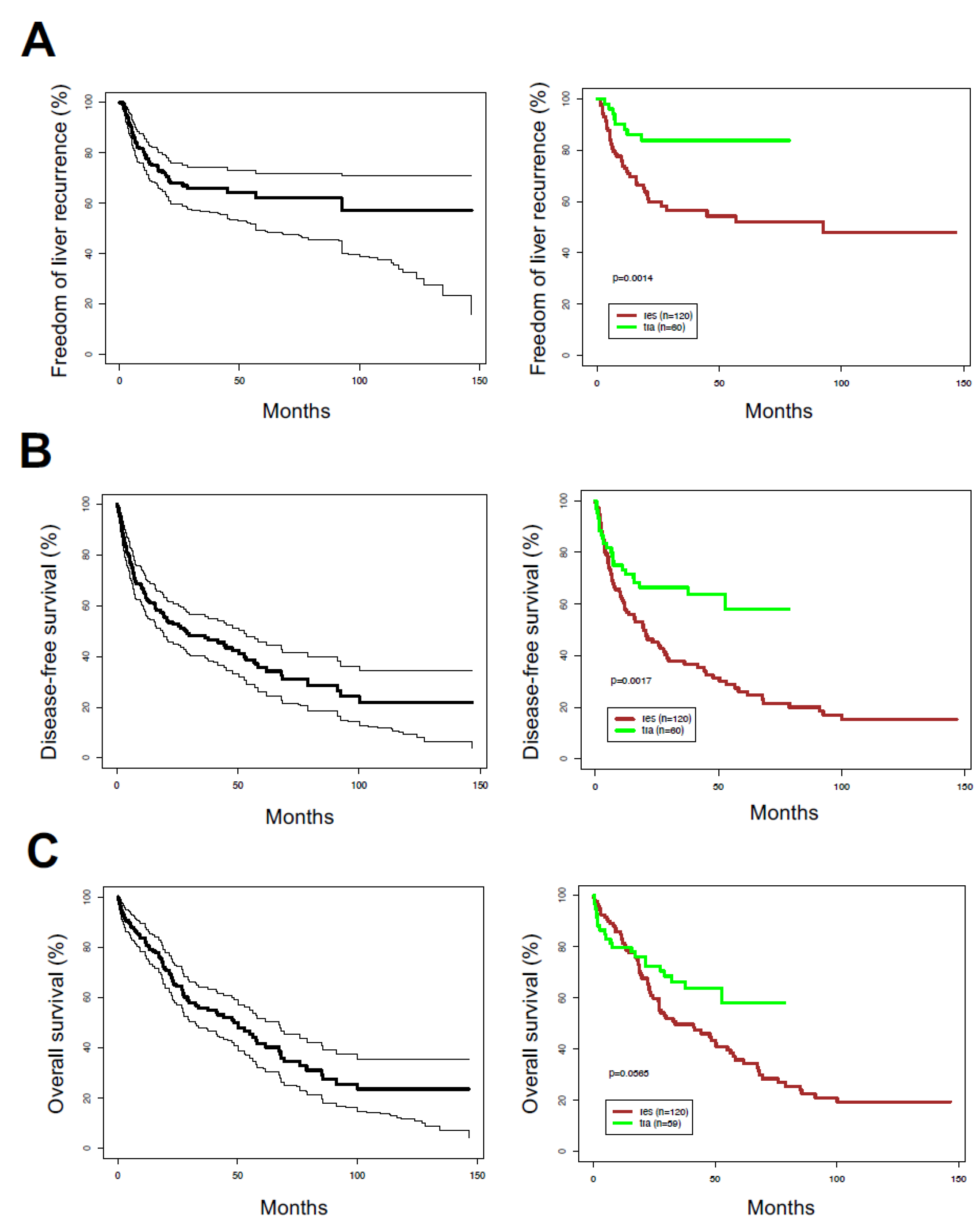 Cancers 12 01275 g001 Cancers 12 01275 g001