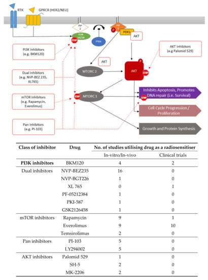 Radiosensitising Cancer Using Phosphatidylinositol-3-Kinase (PI3K ...