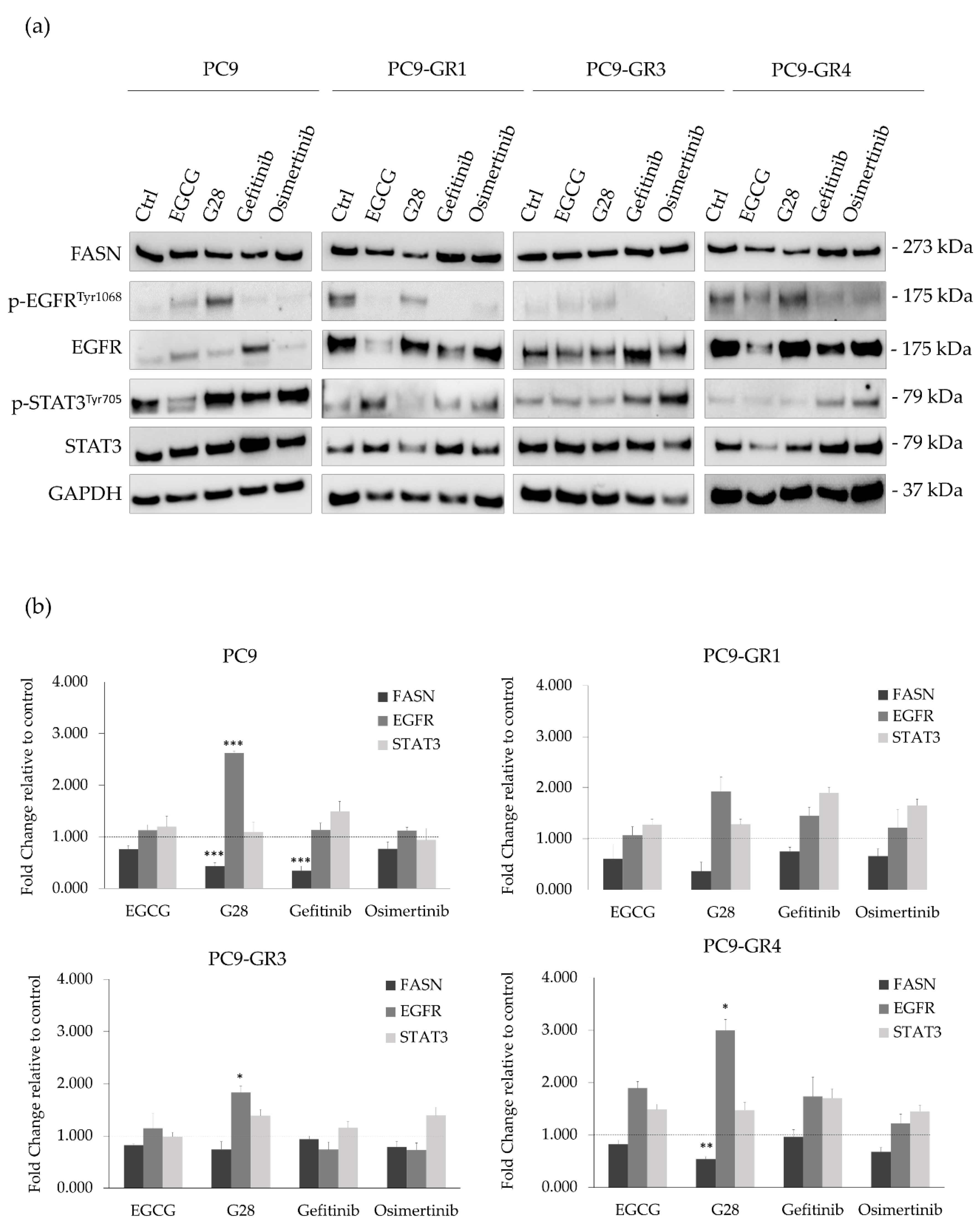 Cancers 12 01283 g006 Cancers 12 01283 g006
