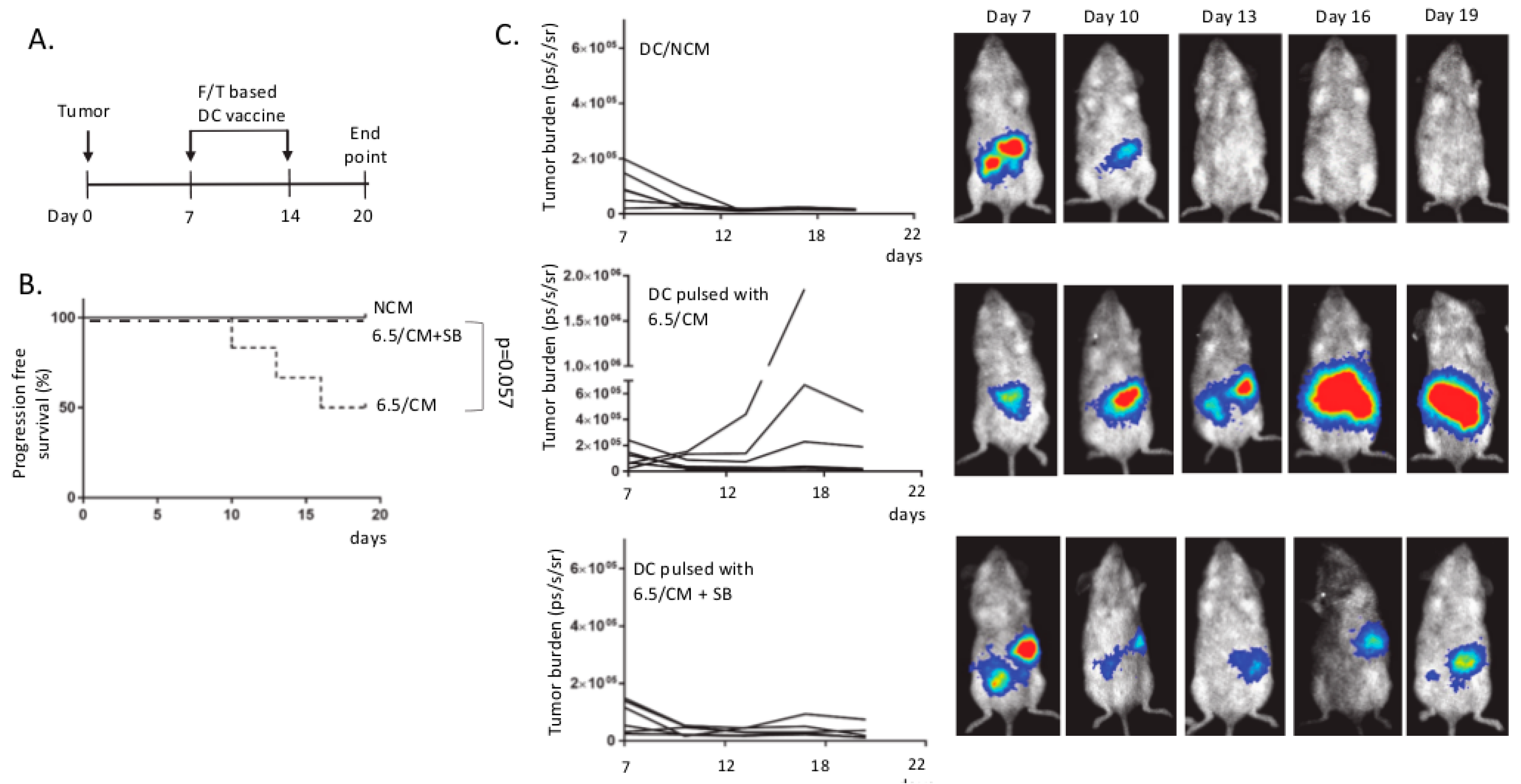 Cancers 12 01284 g005 Cancers 12 01284 g005