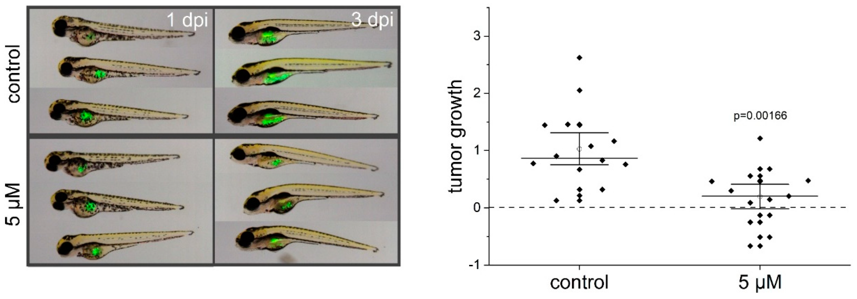 Cancers 12 01288 g005