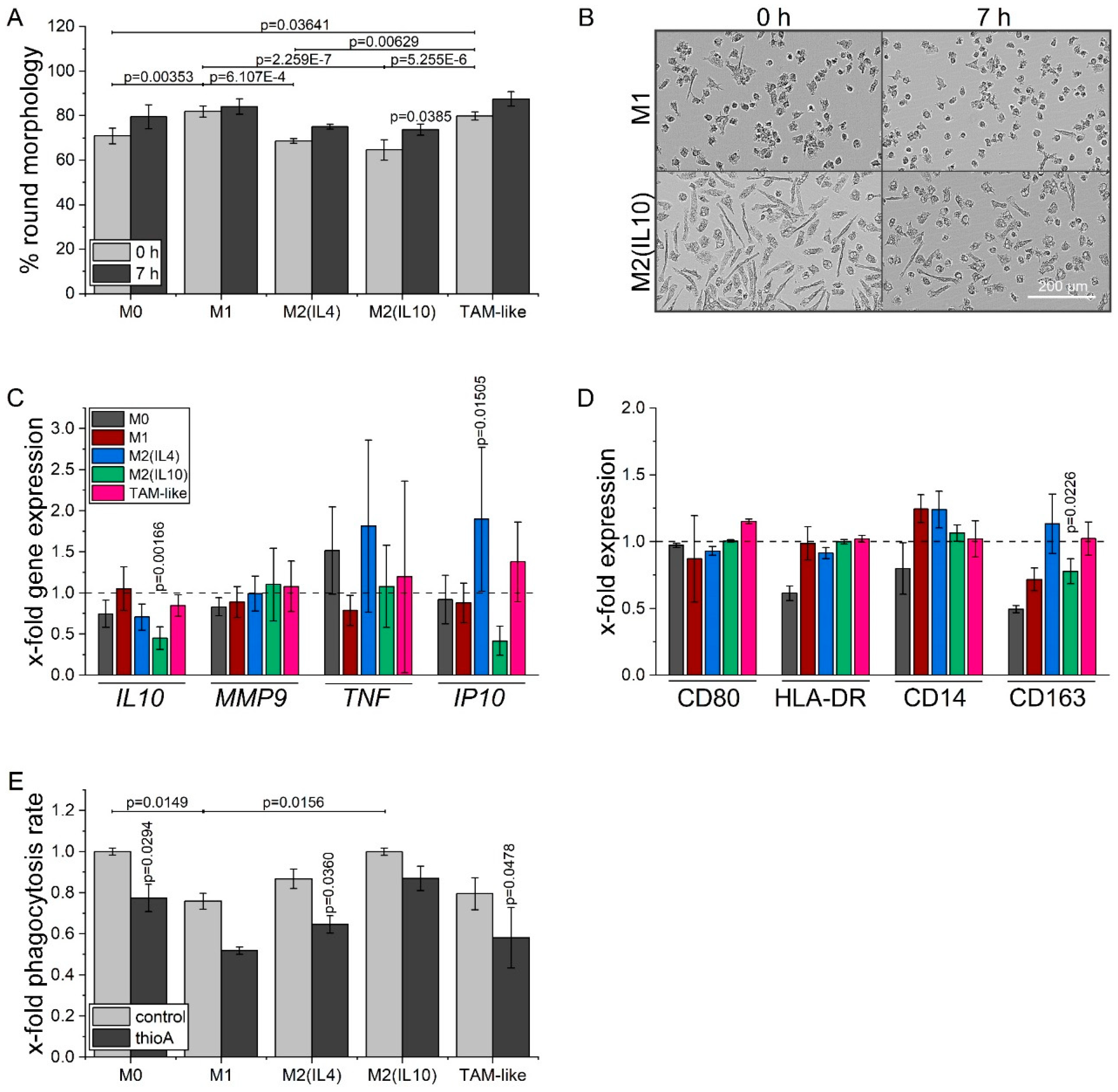 Cancers 12 01288 g008