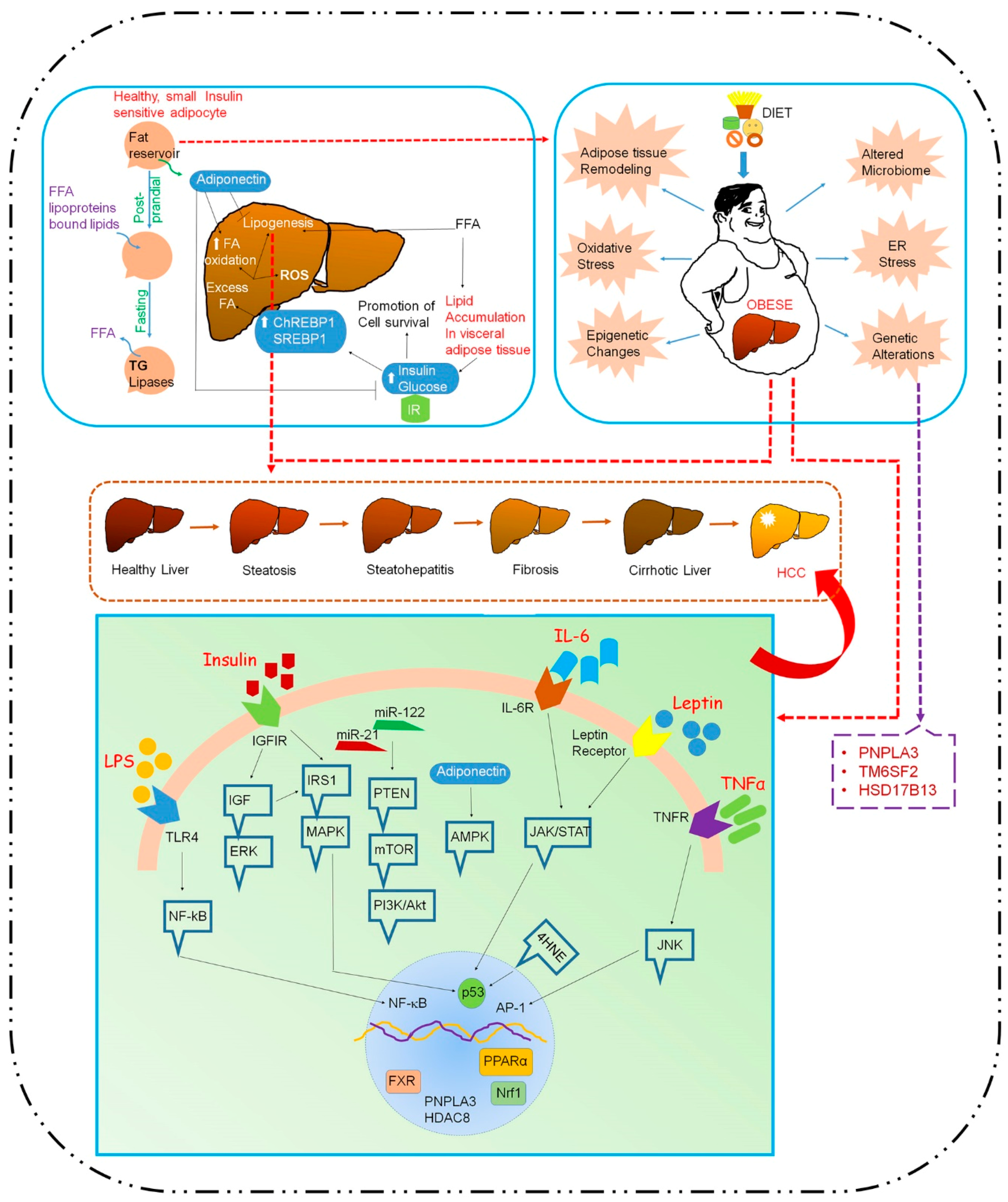 Cancers 12 01290 g001 Cancers 12 01290 g001