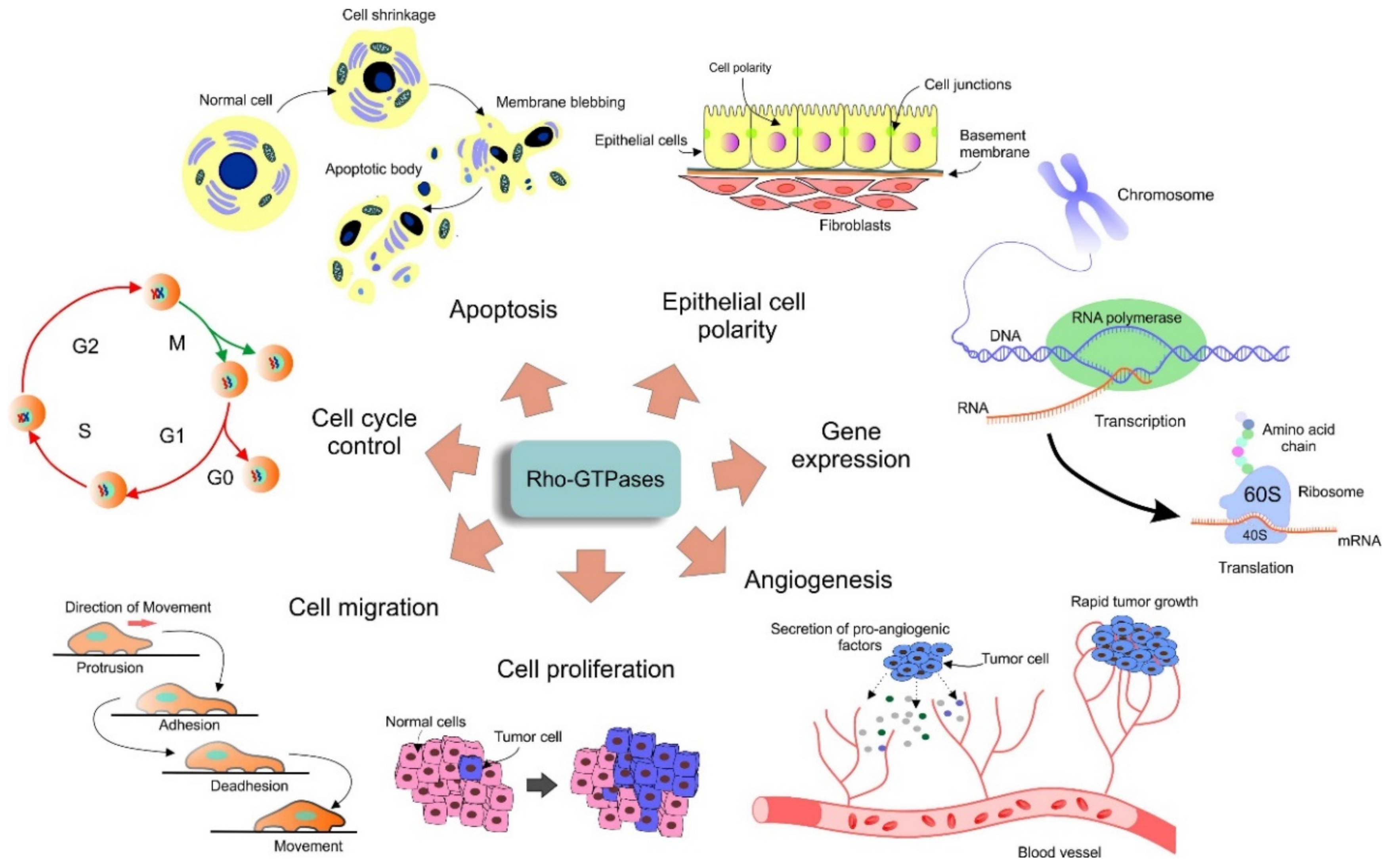 Cancers 12 01292 g002 Cancers 12 01292 g002