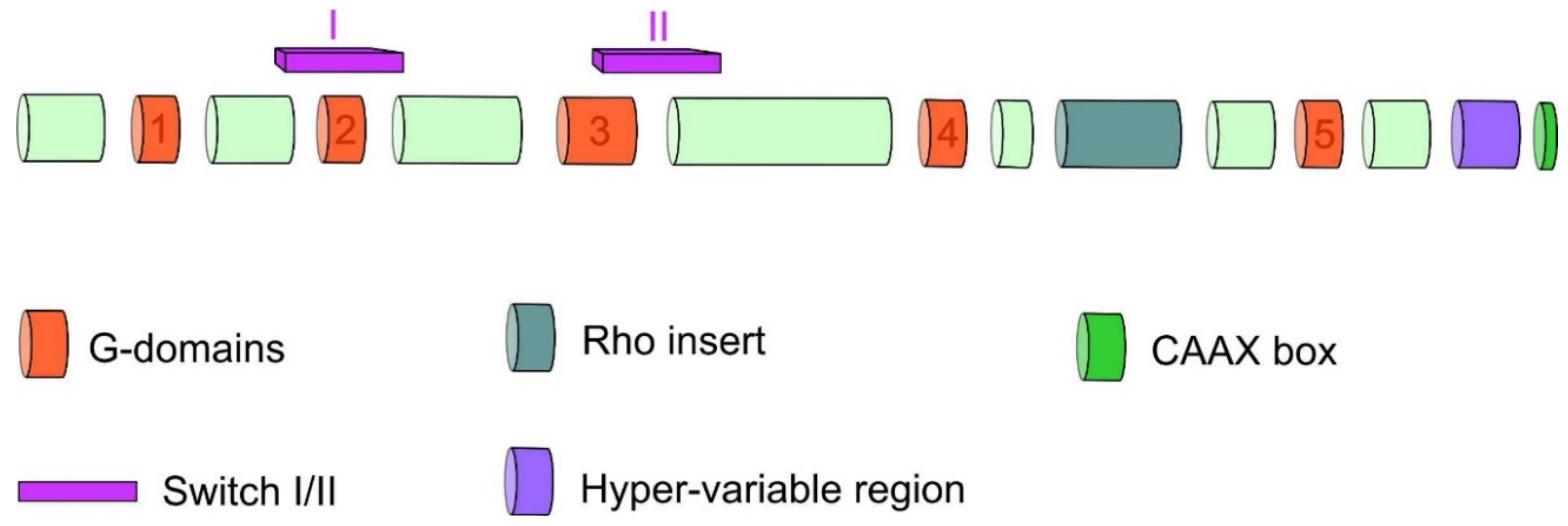 Cancers 12 01292 g003 Cancers 12 01292 g003