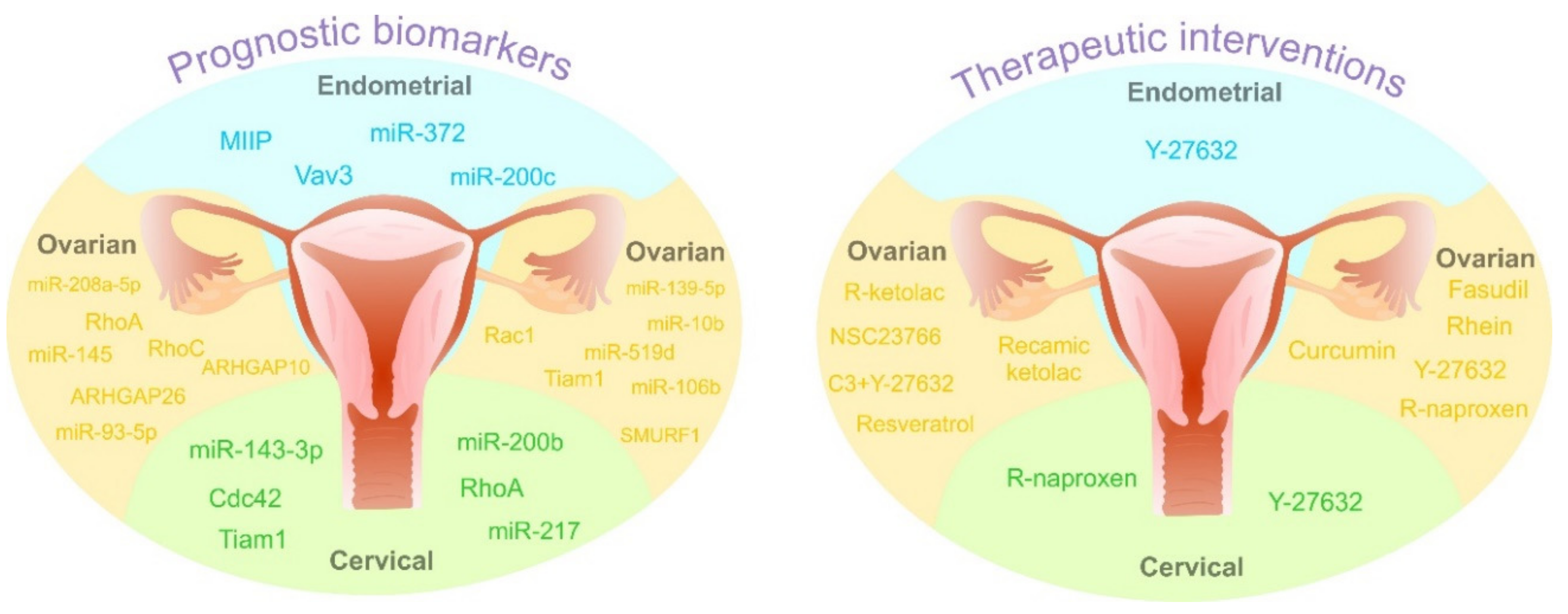 Cancers 12 01292 g006 Cancers 12 01292 g006