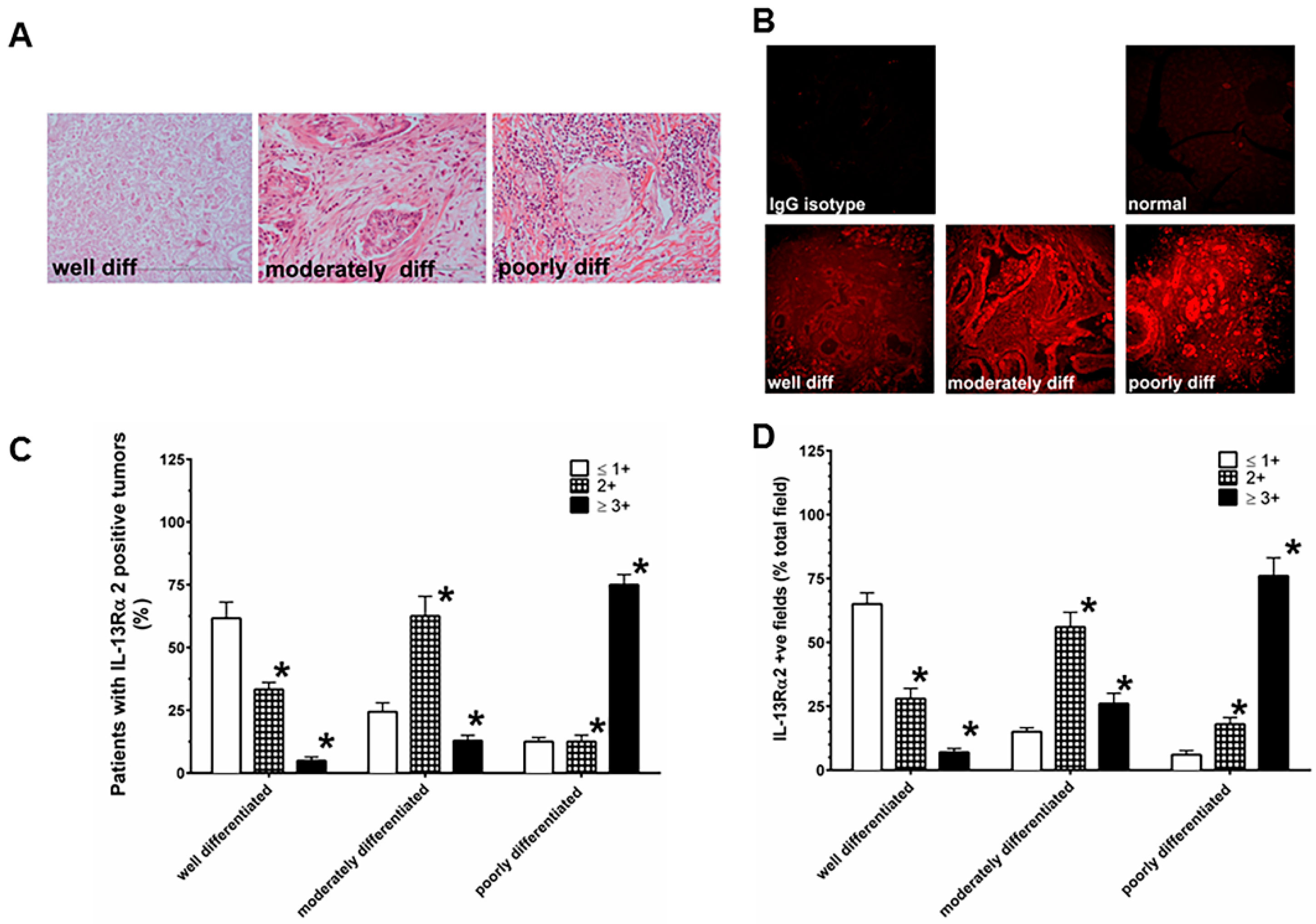 Cancers 12 01294 g001