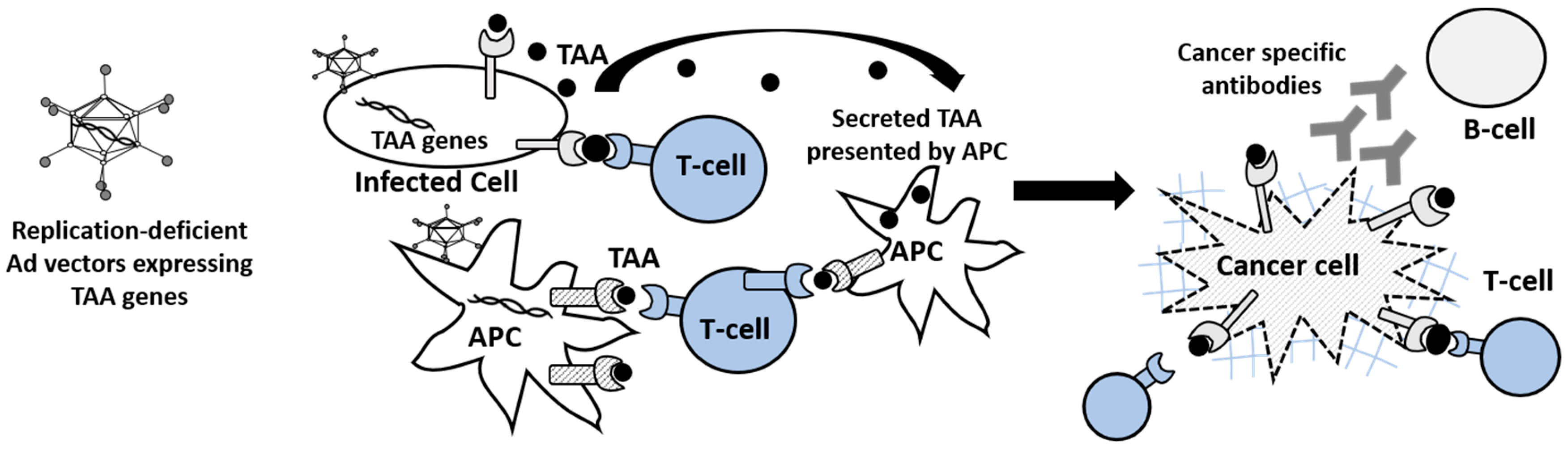 Cancers 12 01295 g001 Cancers 12 01295 g001