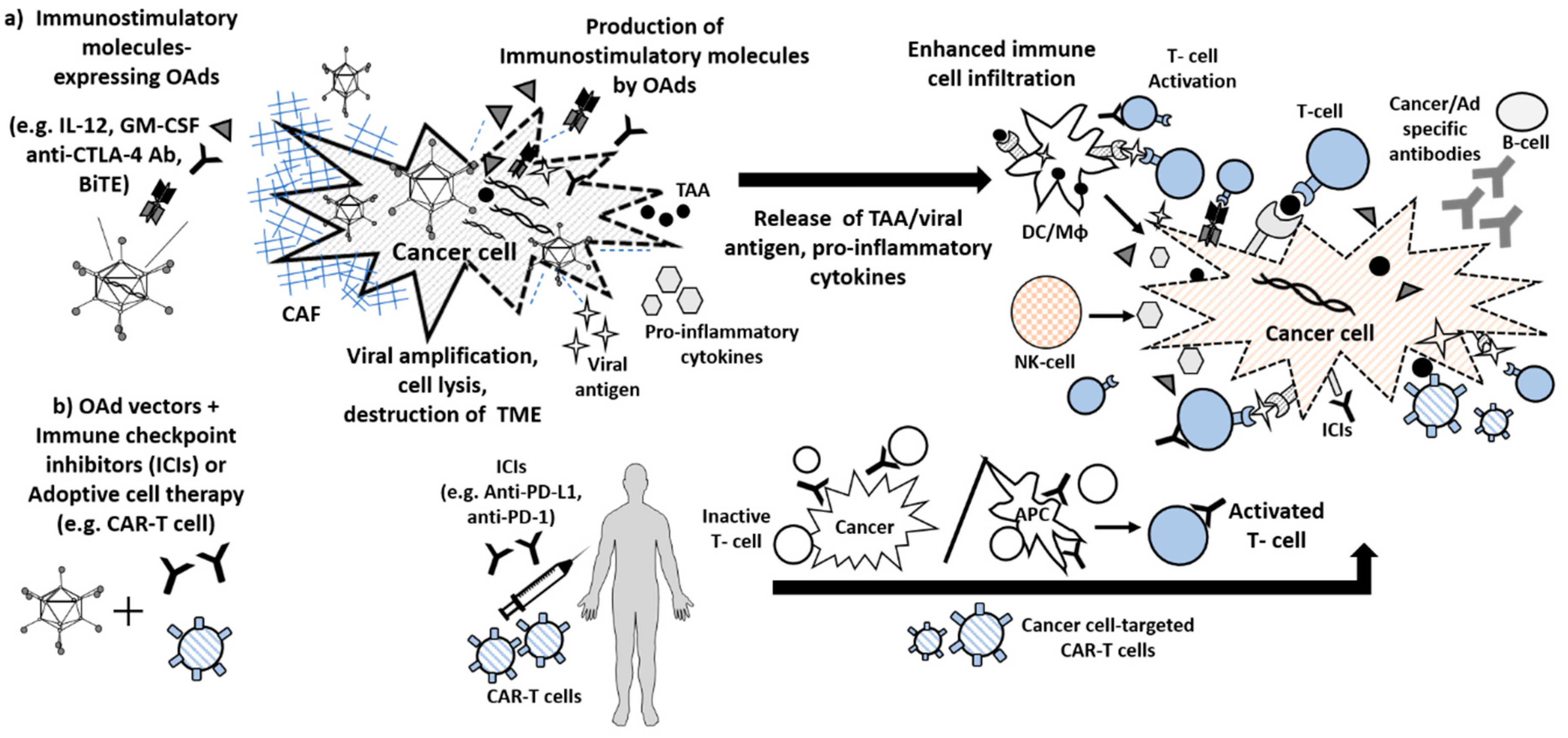 Cancers 12 01295 g002 Cancers 12 01295 g002