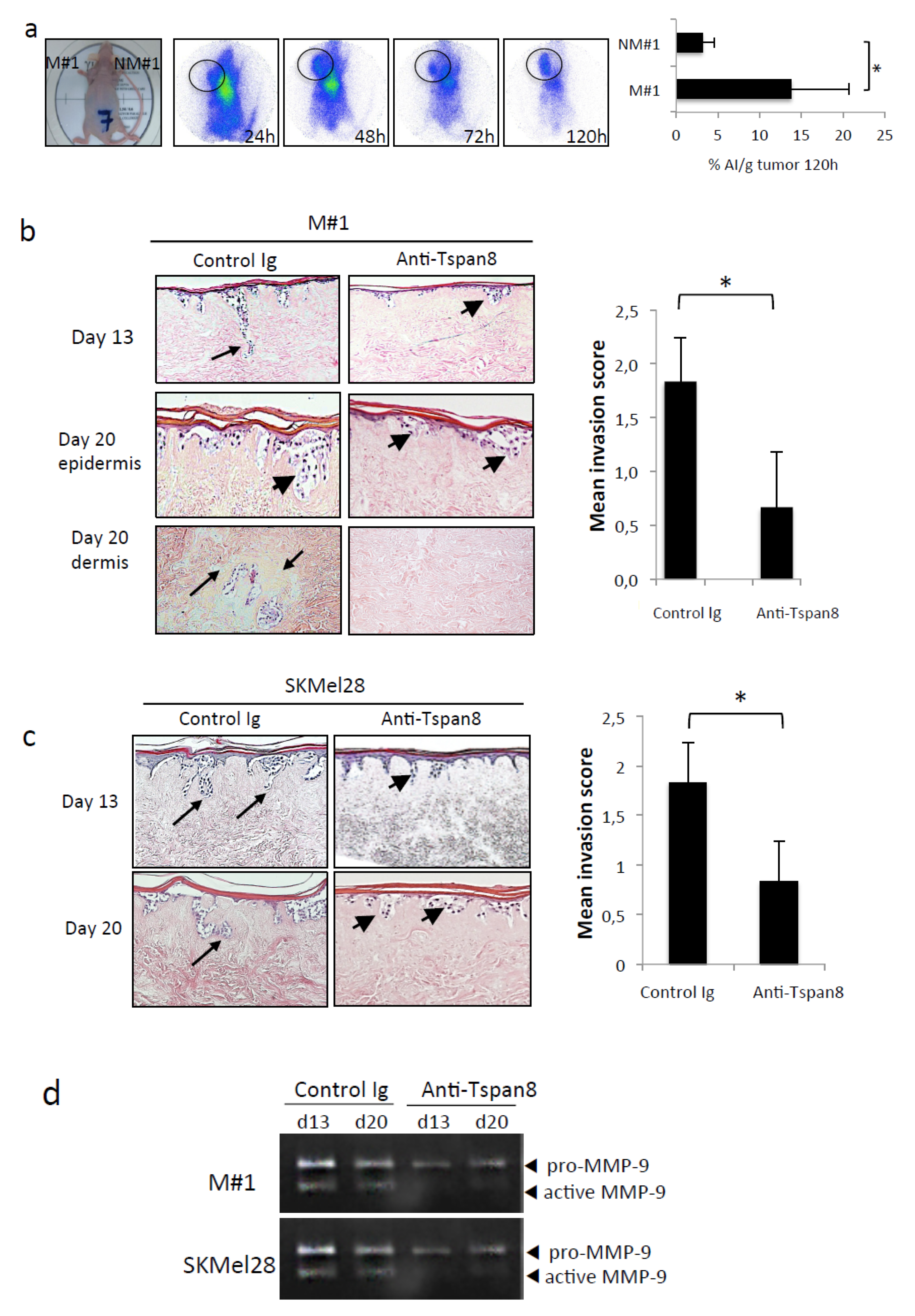 Cancers 12 01297 g007