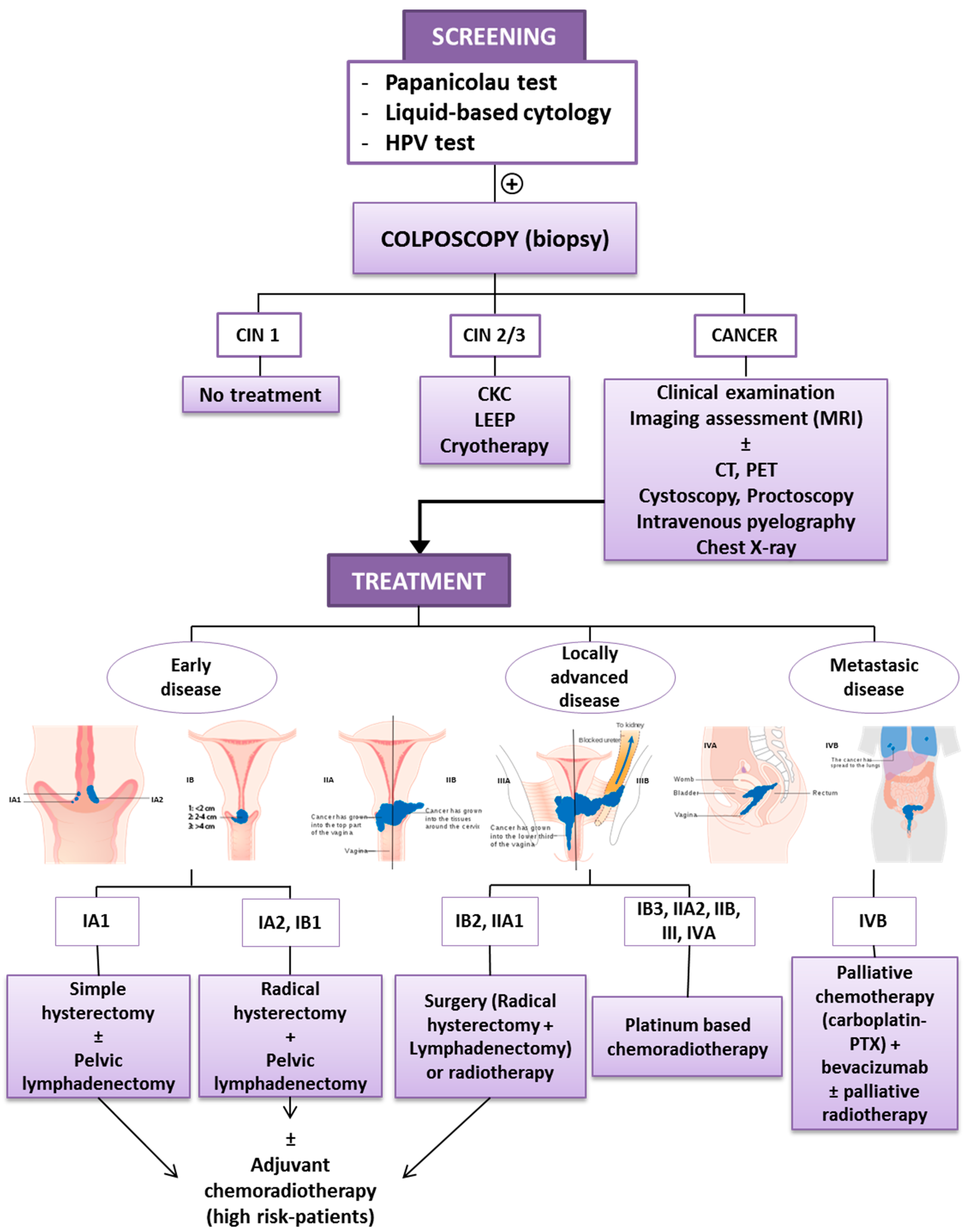 hpv cancer genetic