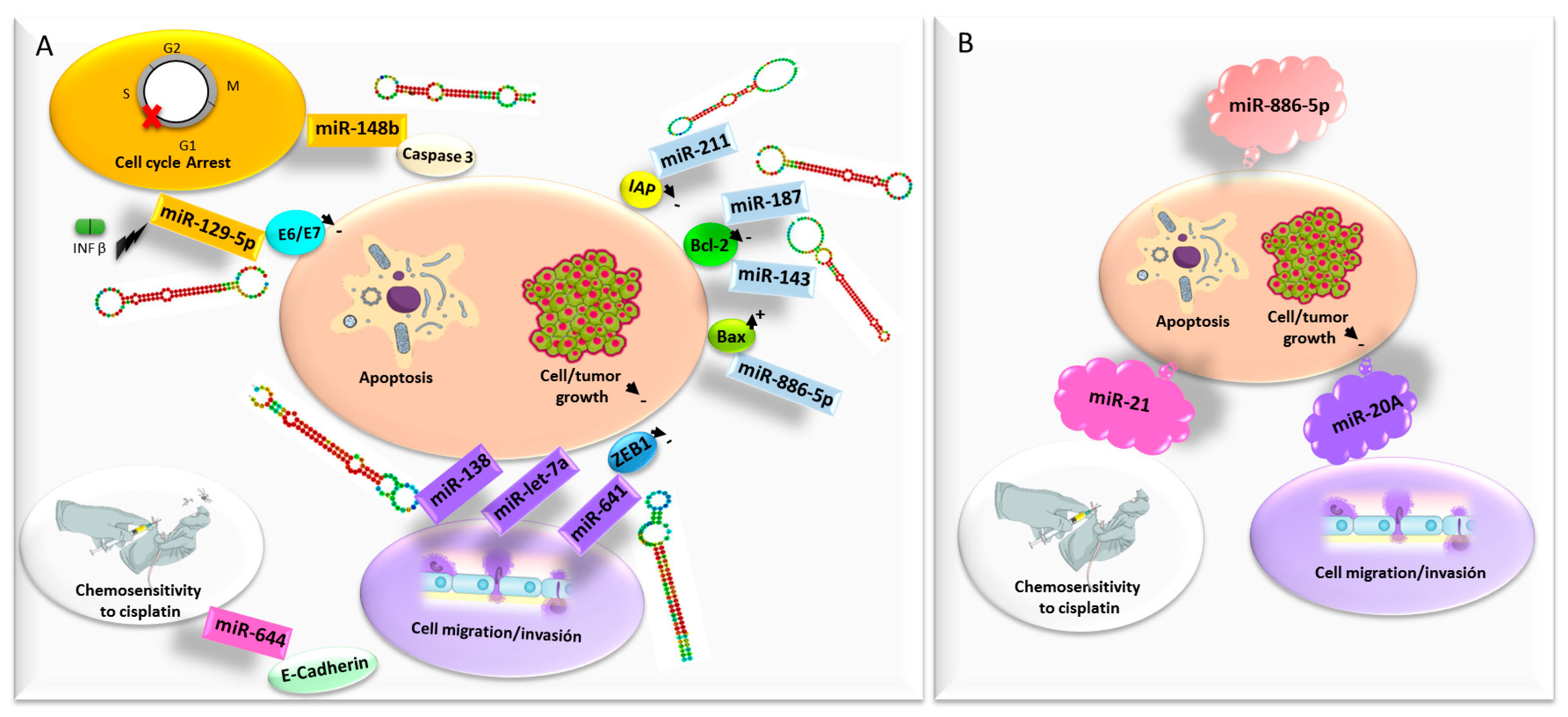 Cancers 12 01301 g003