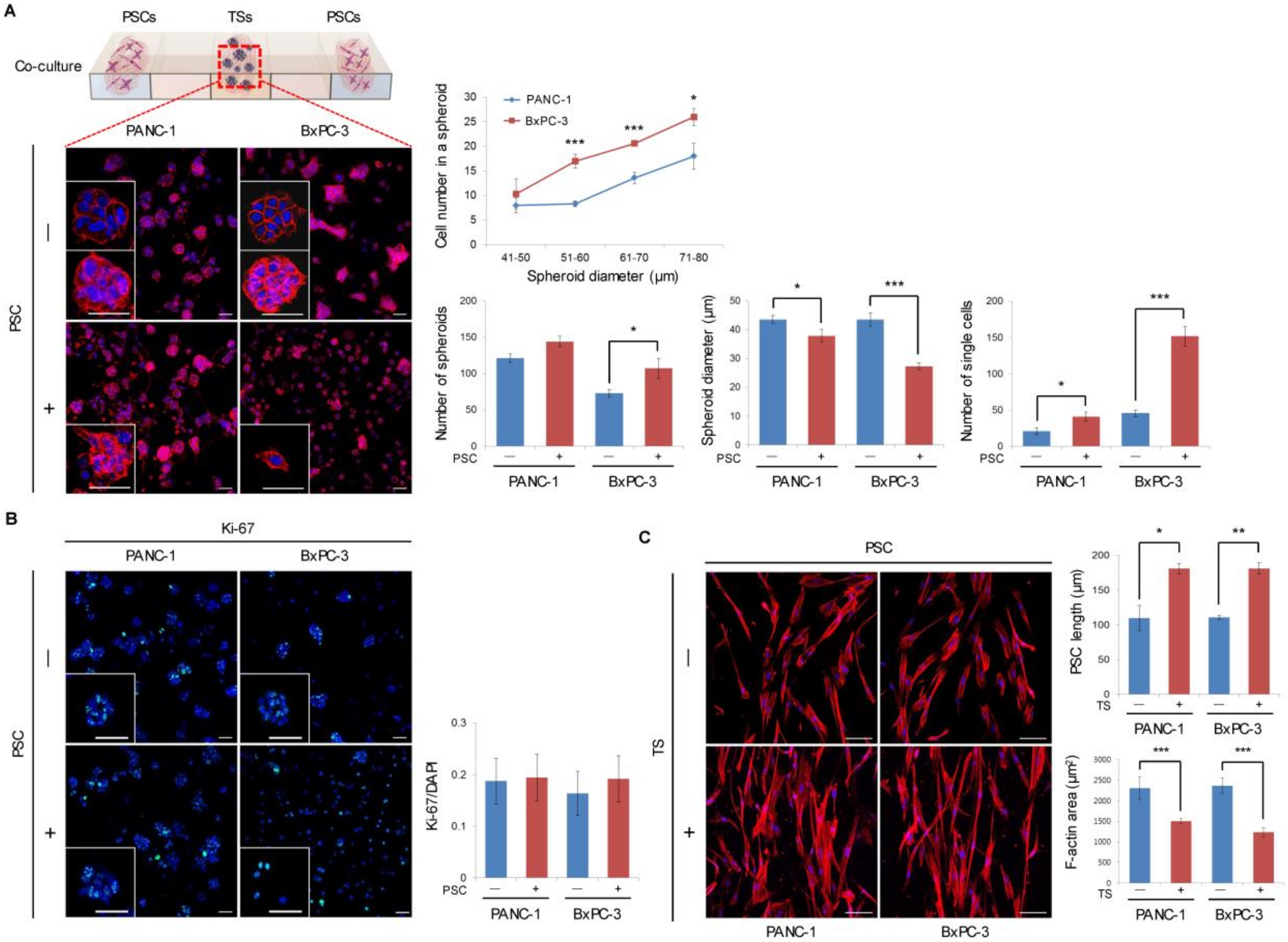Cancers 12 01305 g001 Cancers 12 01305 g001