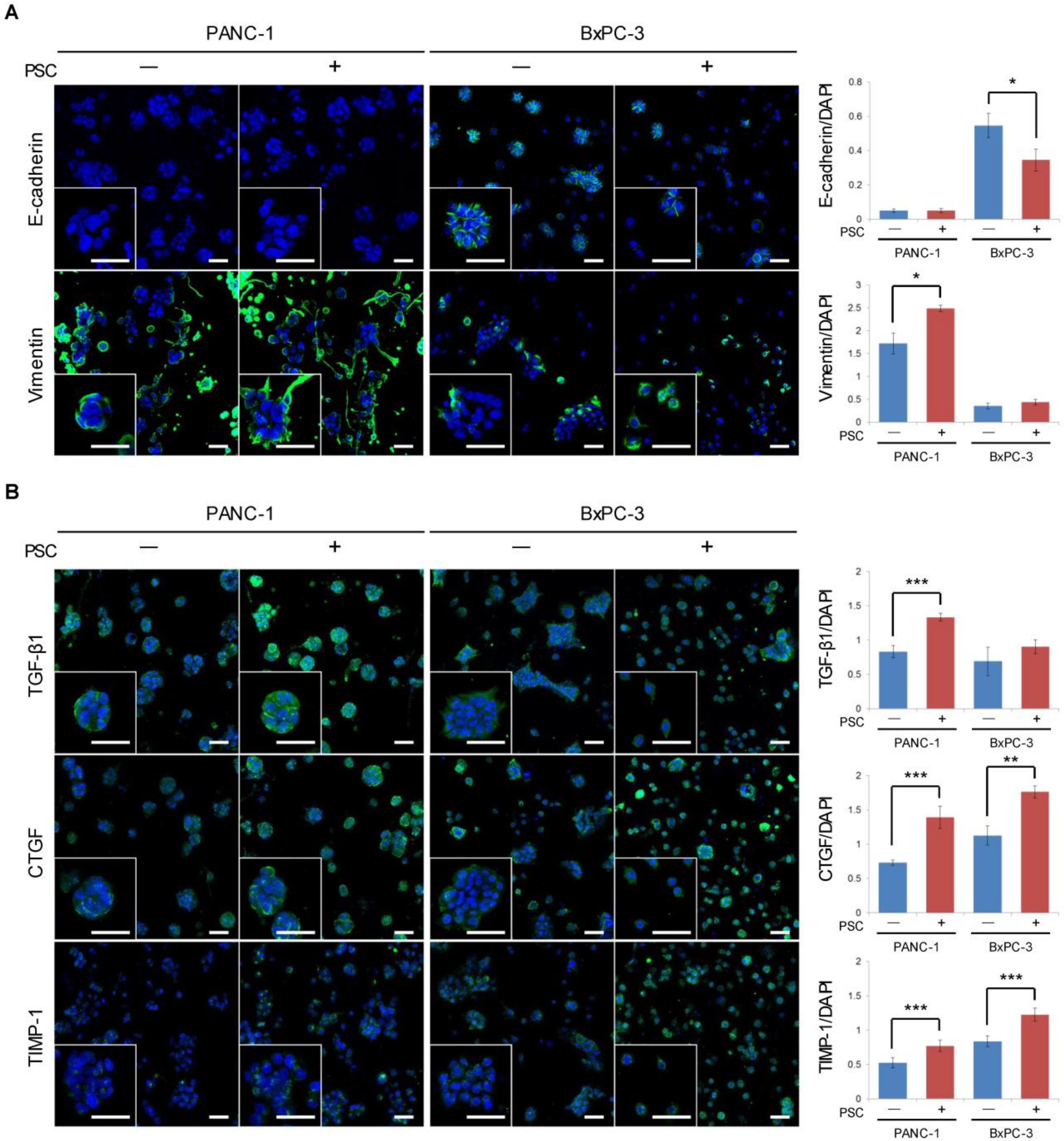 Cancers 12 01305 g002 Cancers 12 01305 g002