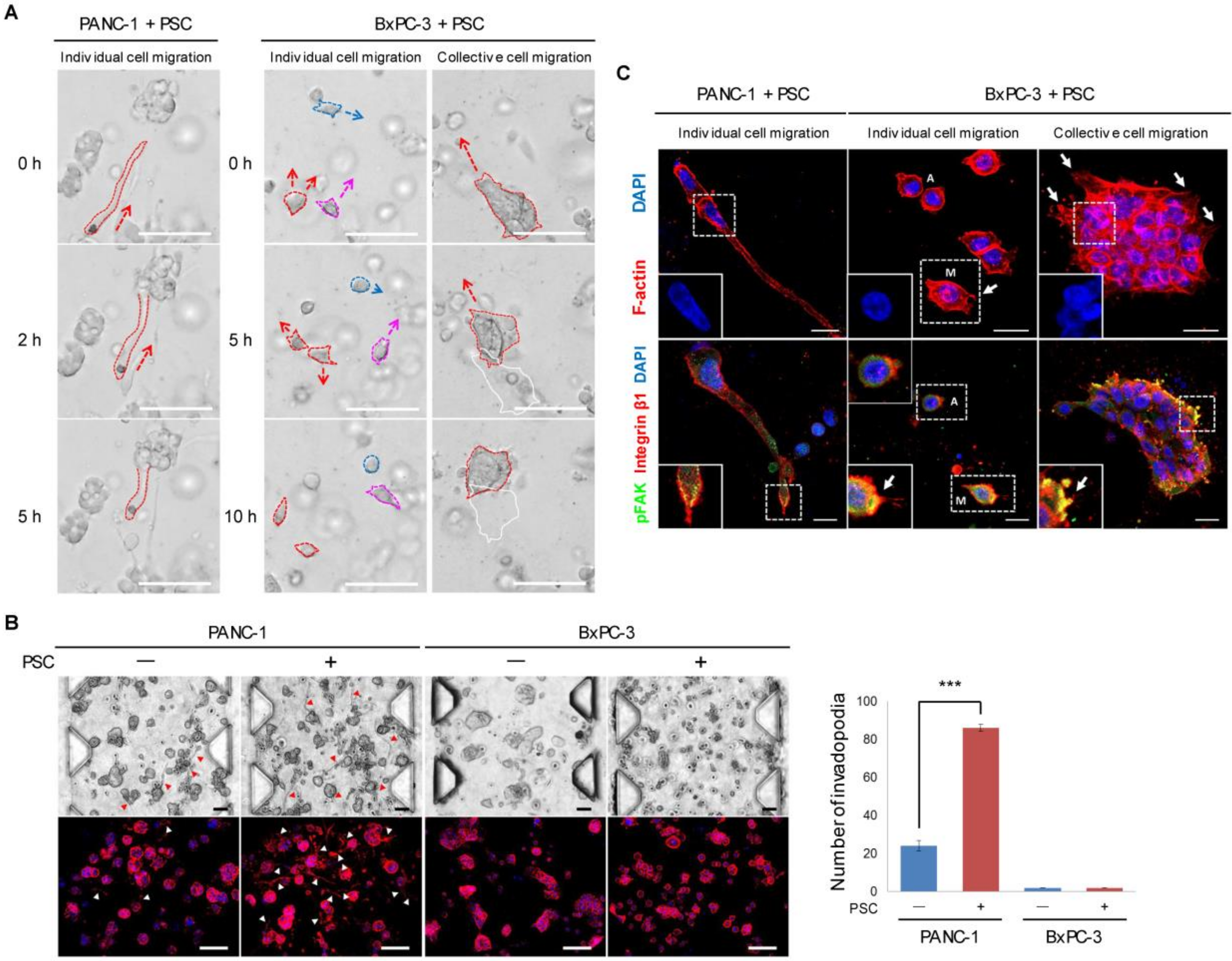 Cancers 12 01305 g003 Cancers 12 01305 g003