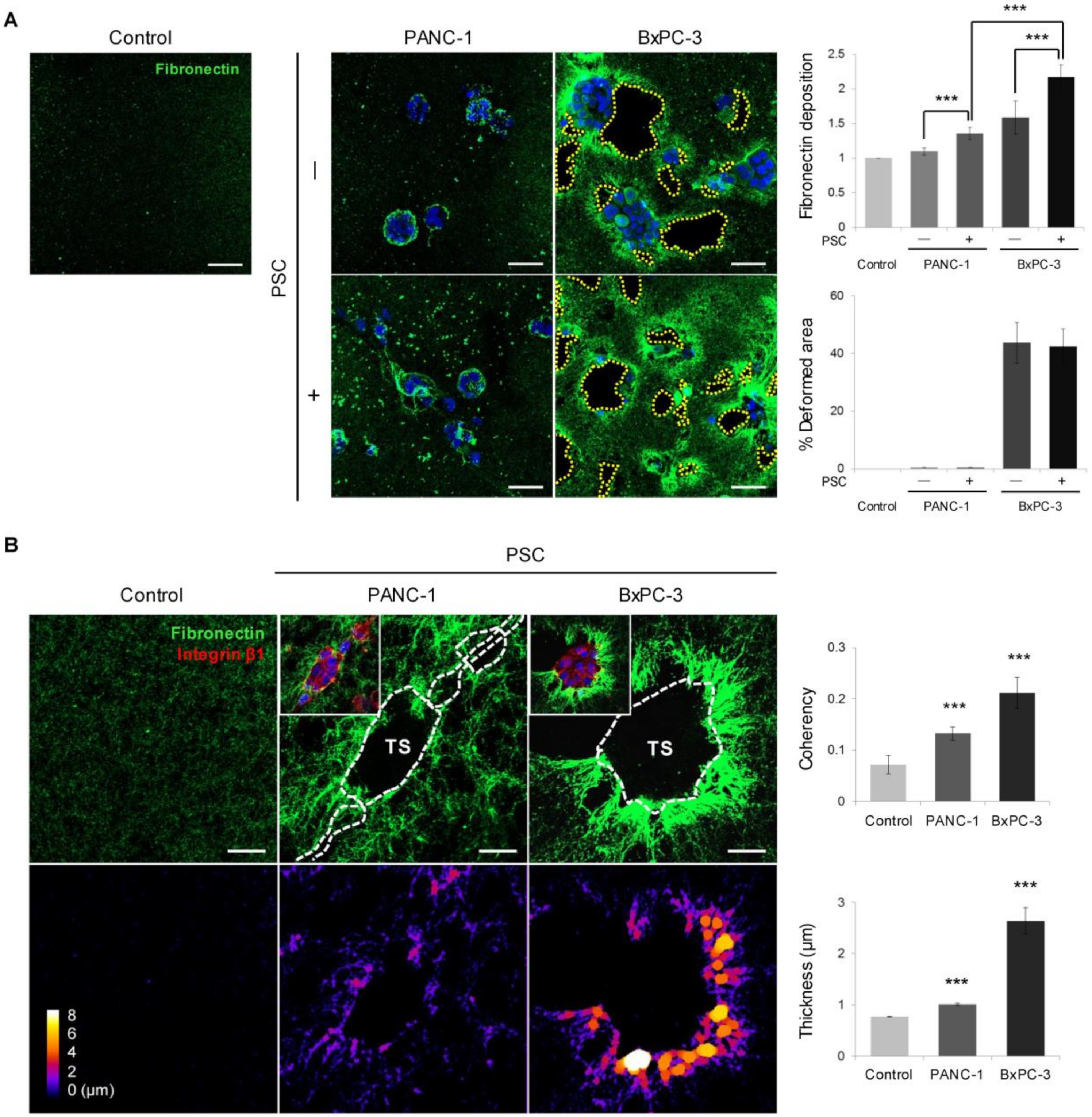 Cancers 12 01305 g005 Cancers 12 01305 g005