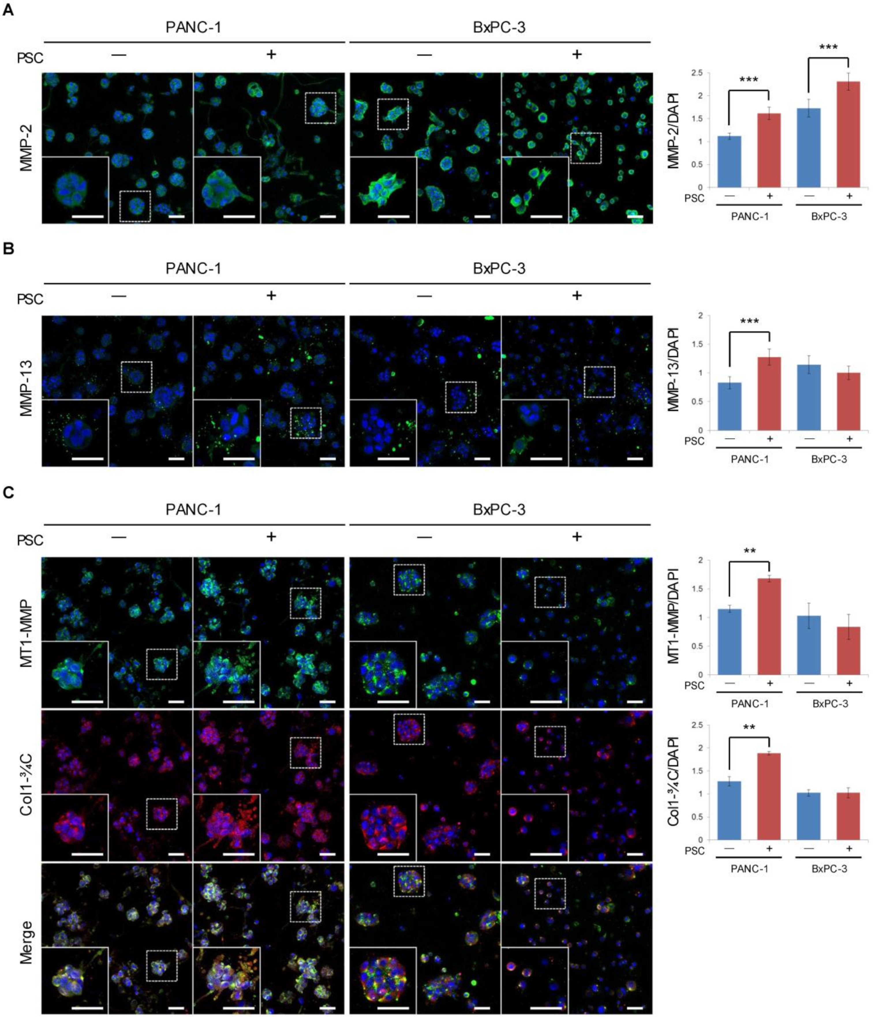 Cancers 12 01305 g006 Cancers 12 01305 g006