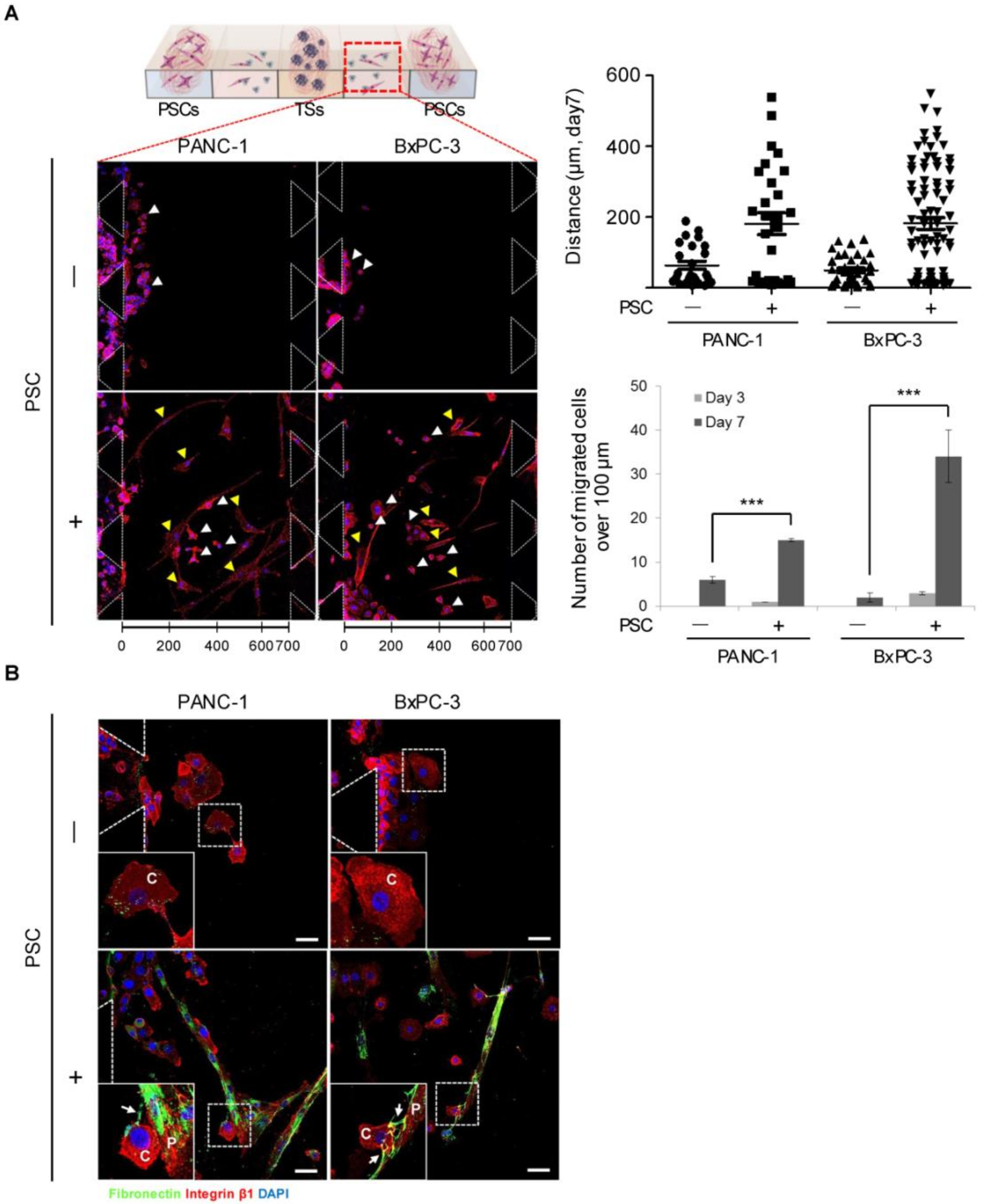Cancers 12 01305 g007 Cancers 12 01305 g007