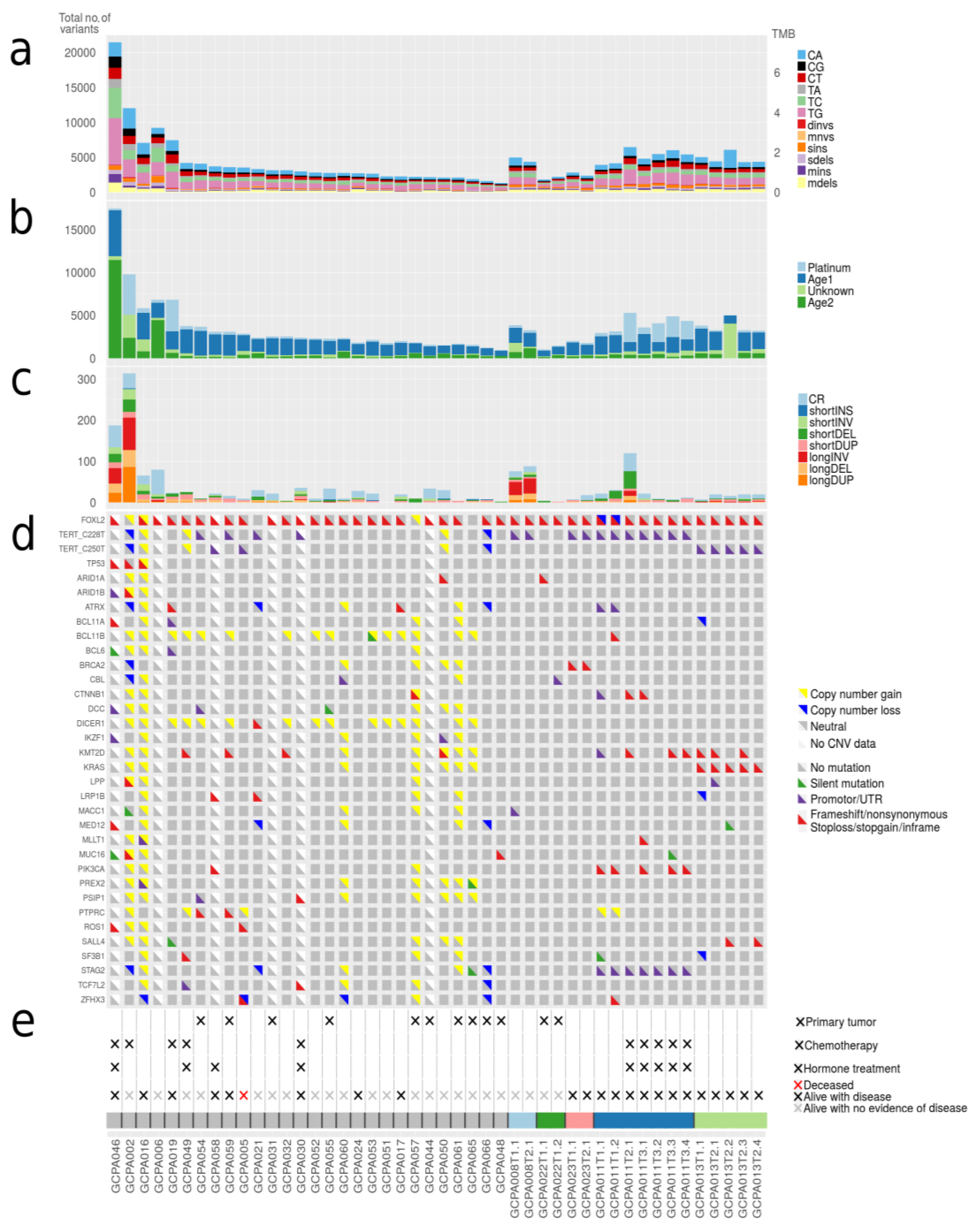 Cancers 12 01308 g002