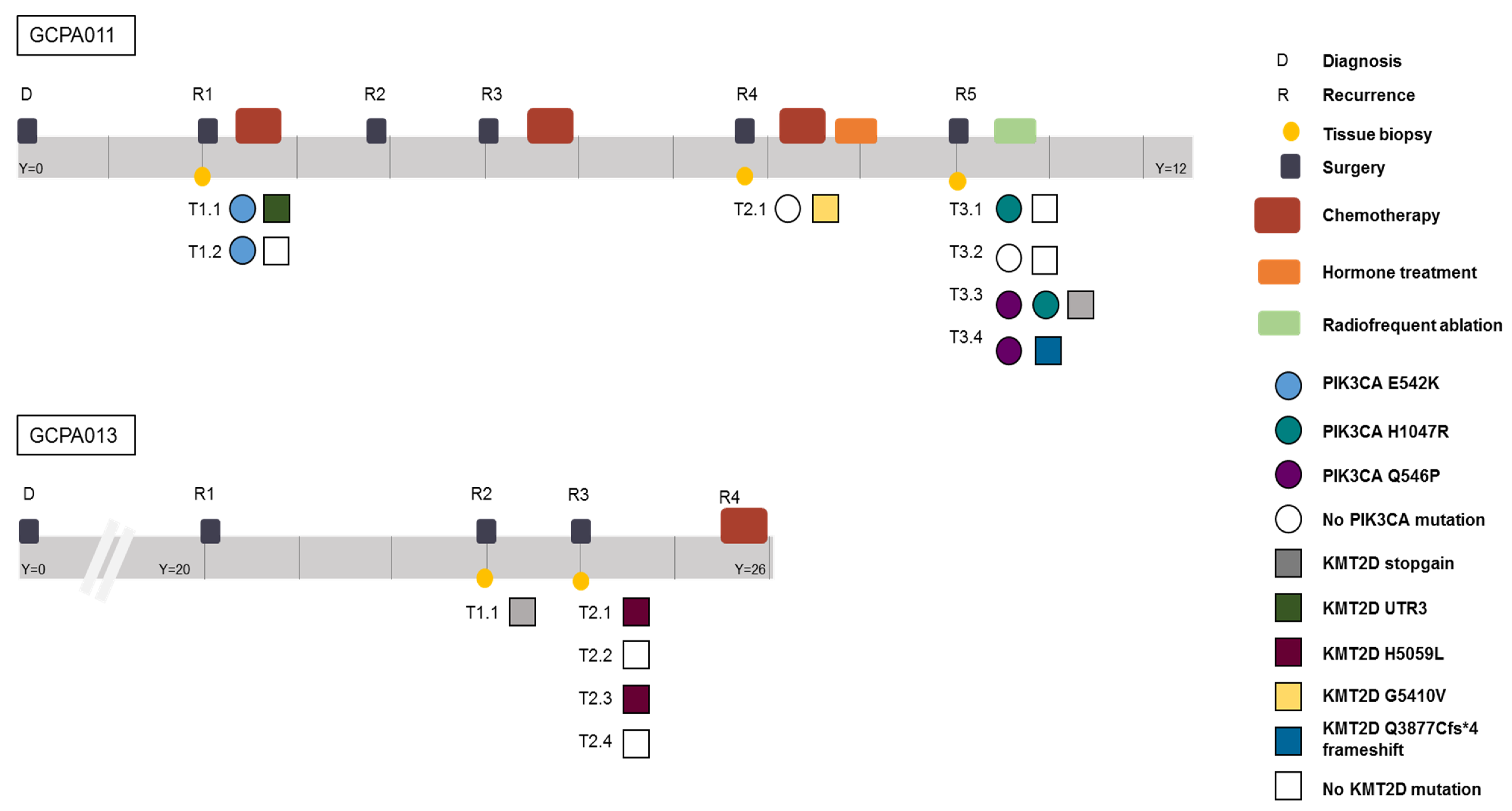 Cancers 12 01308 g006