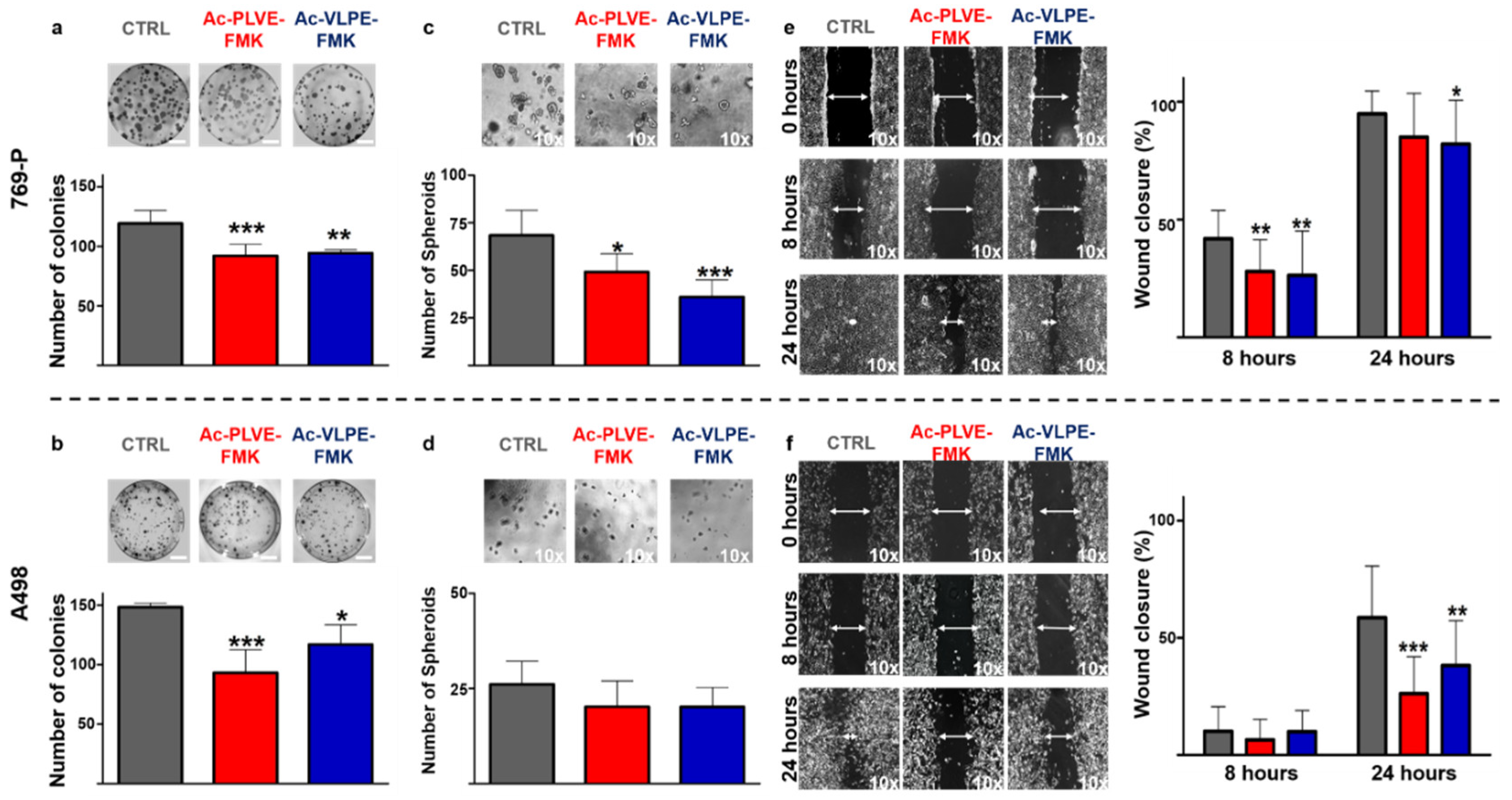 Cancers 12 01310 g004
