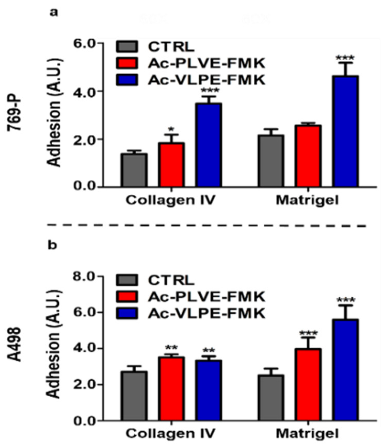 Cancers 12 01310 g005