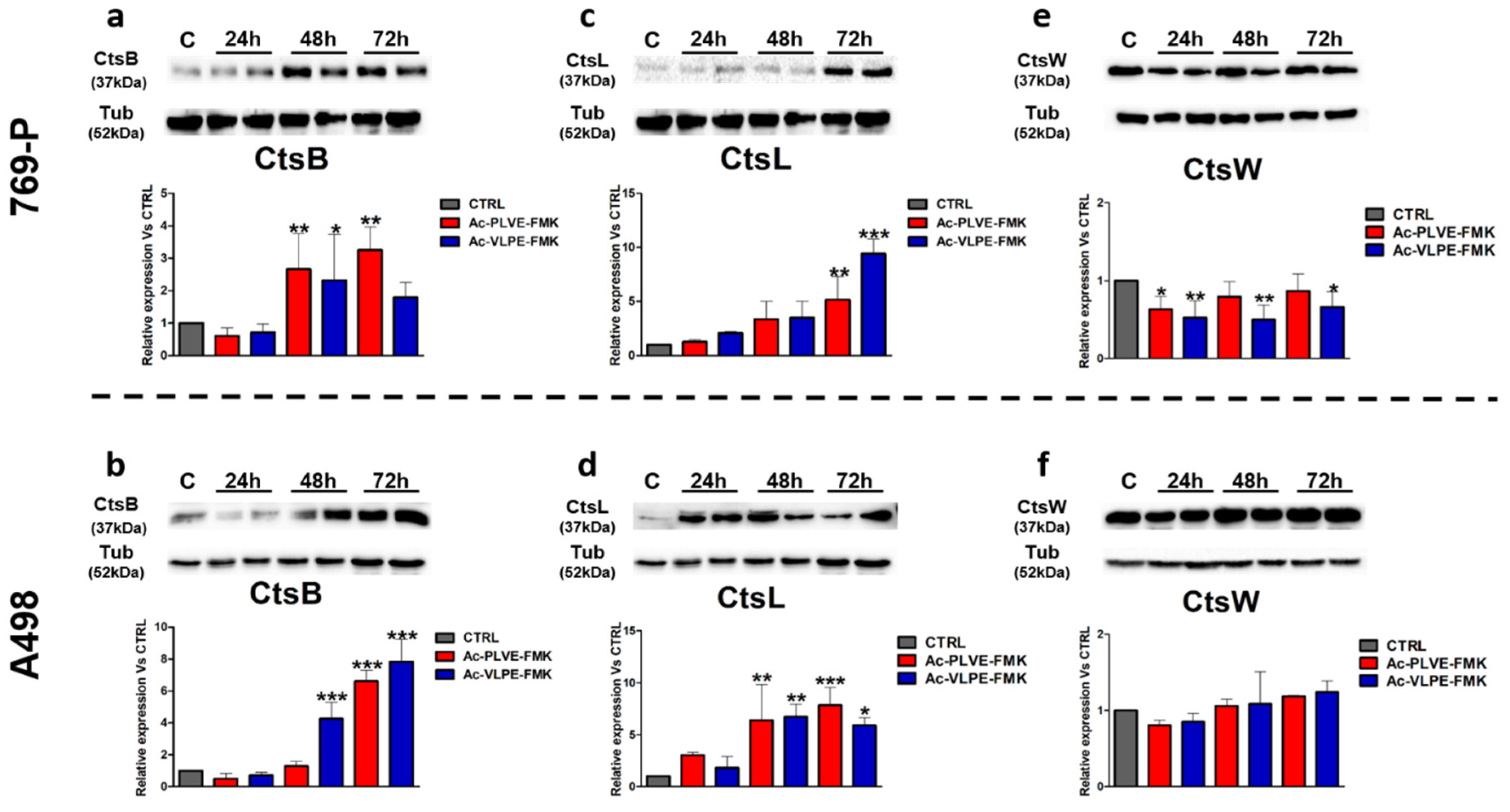 Cancers 12 01310 g008