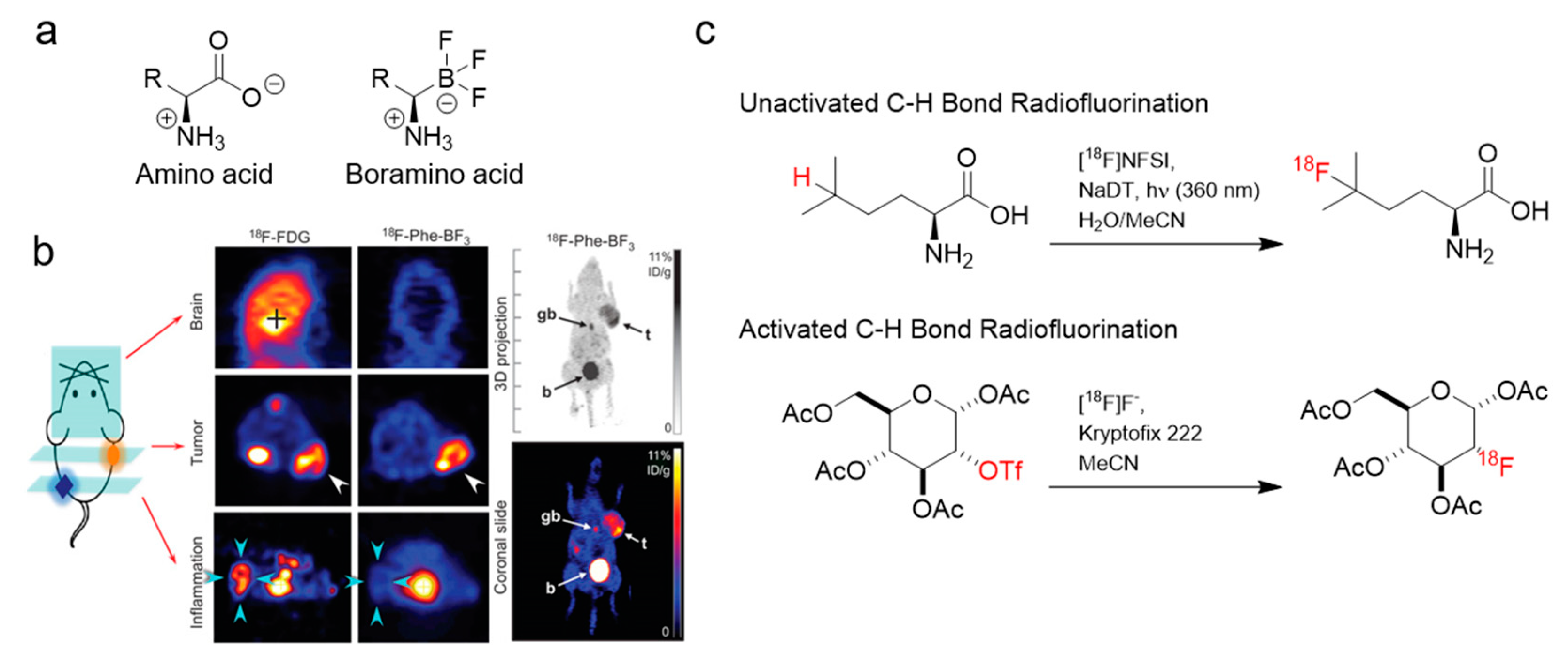 Cancers 12 01312 g003 Cancers 12 01312 g003
